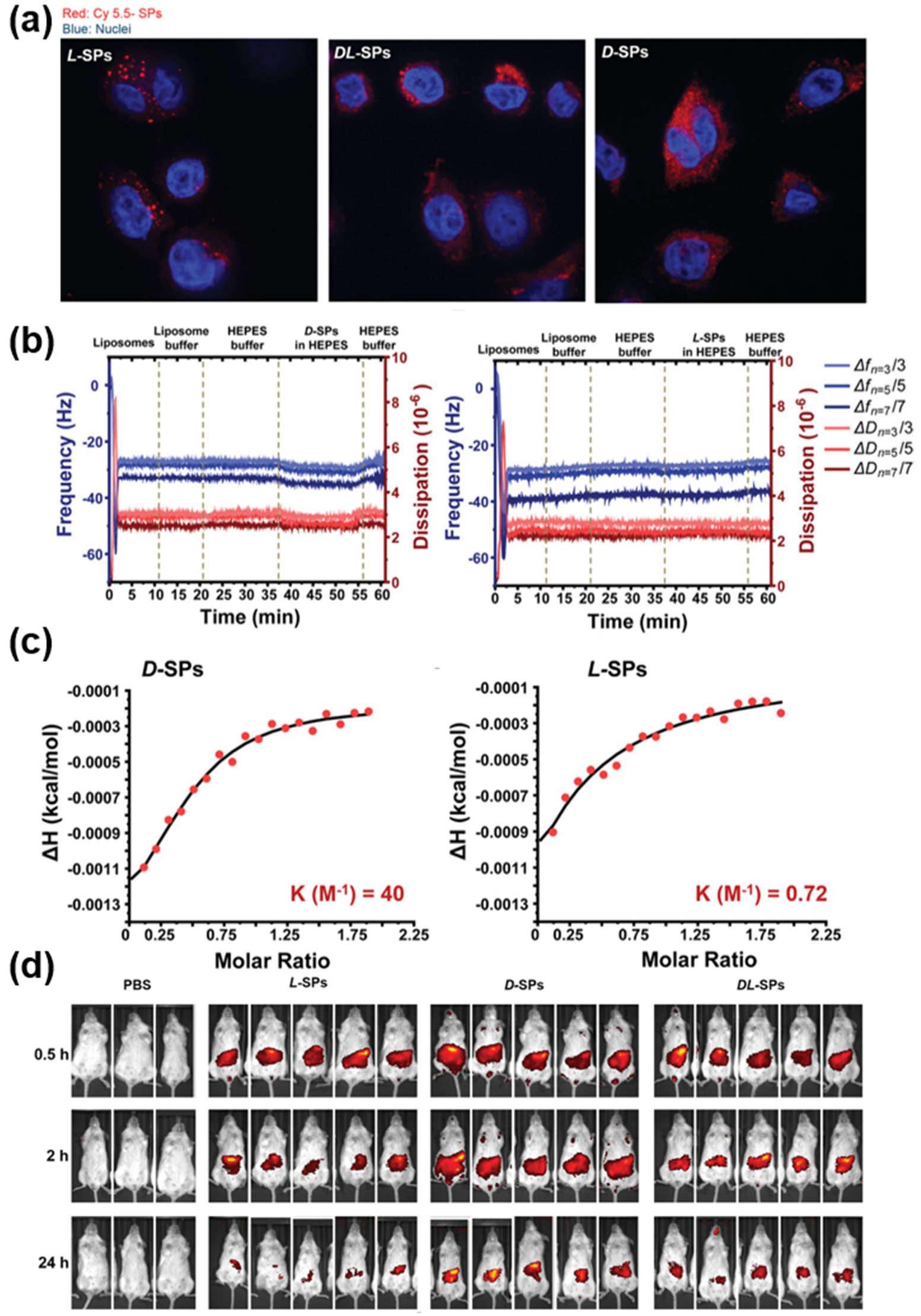 Pharmaceutics 14 01951 g002