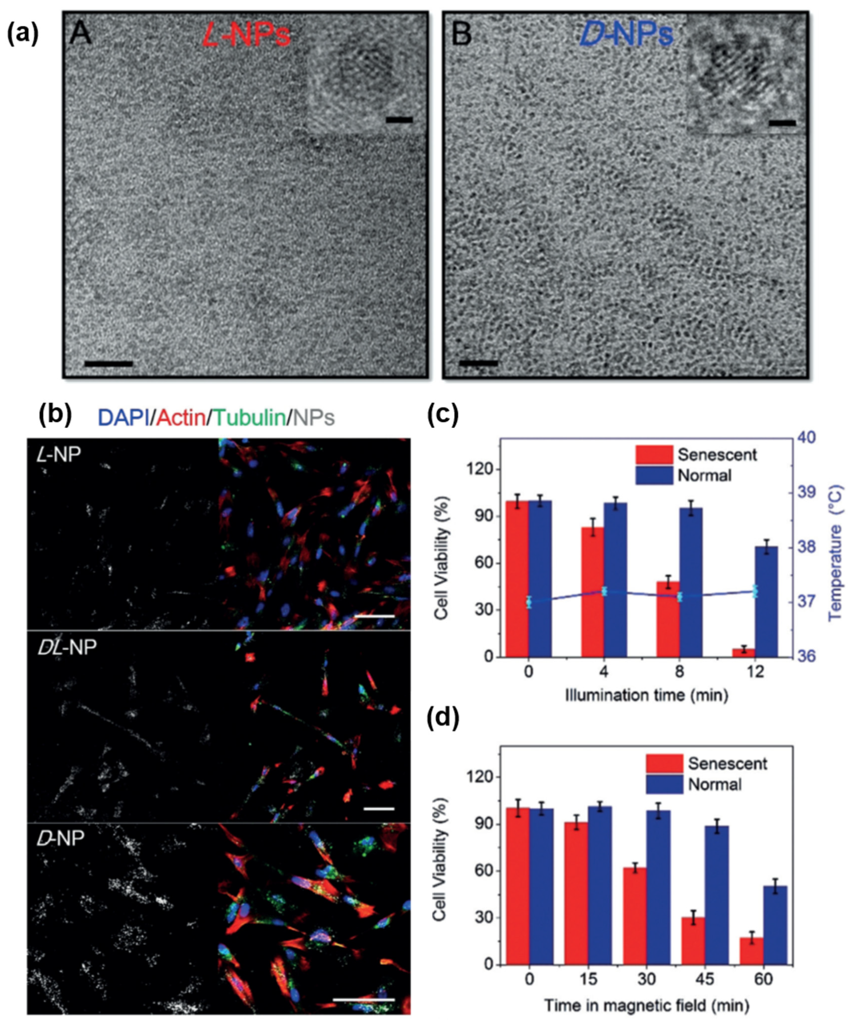 Pharmaceutics 14 01951 g003