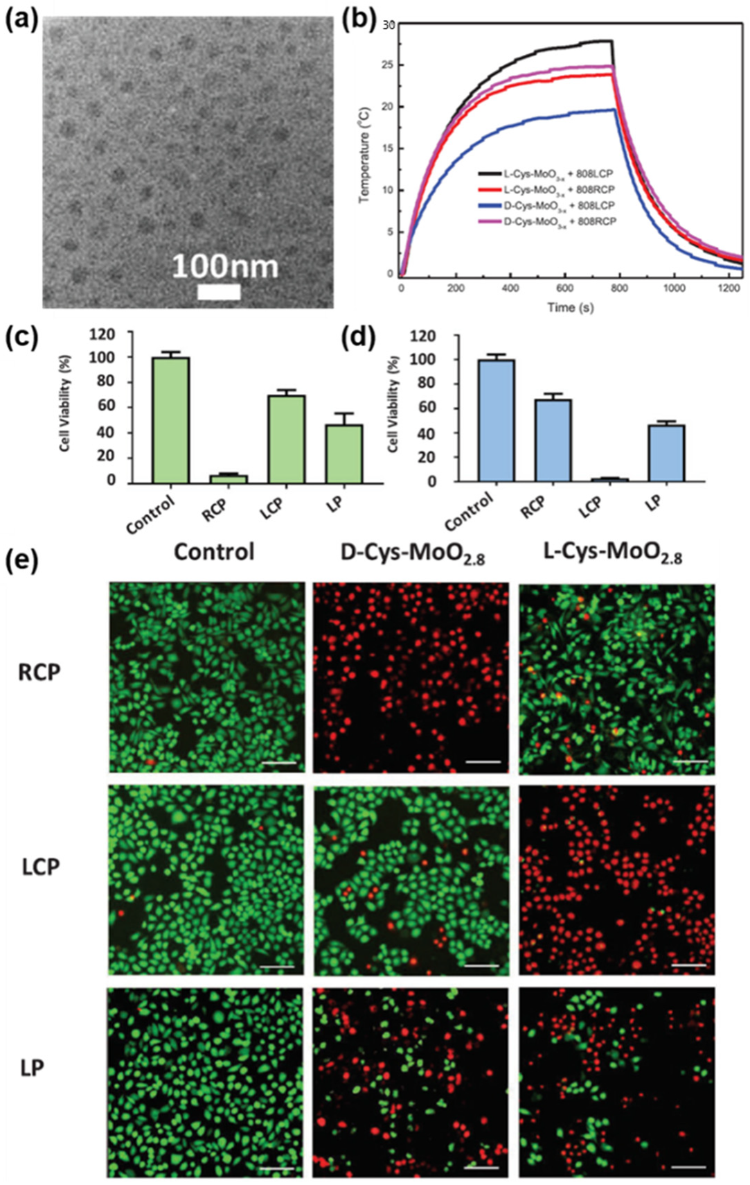 Pharmaceutics 14 01951 g007