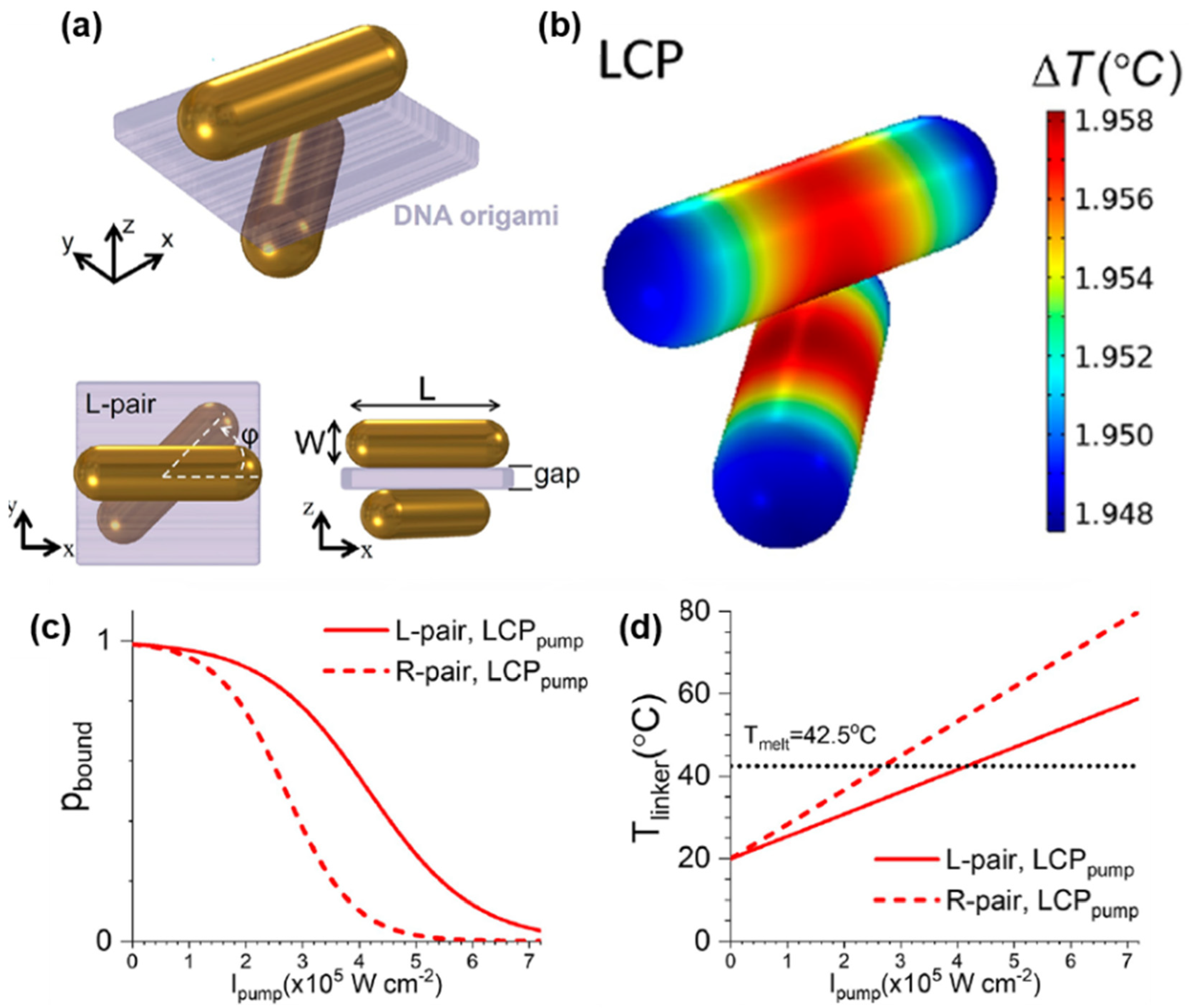 Pharmaceutics 14 01951 g010