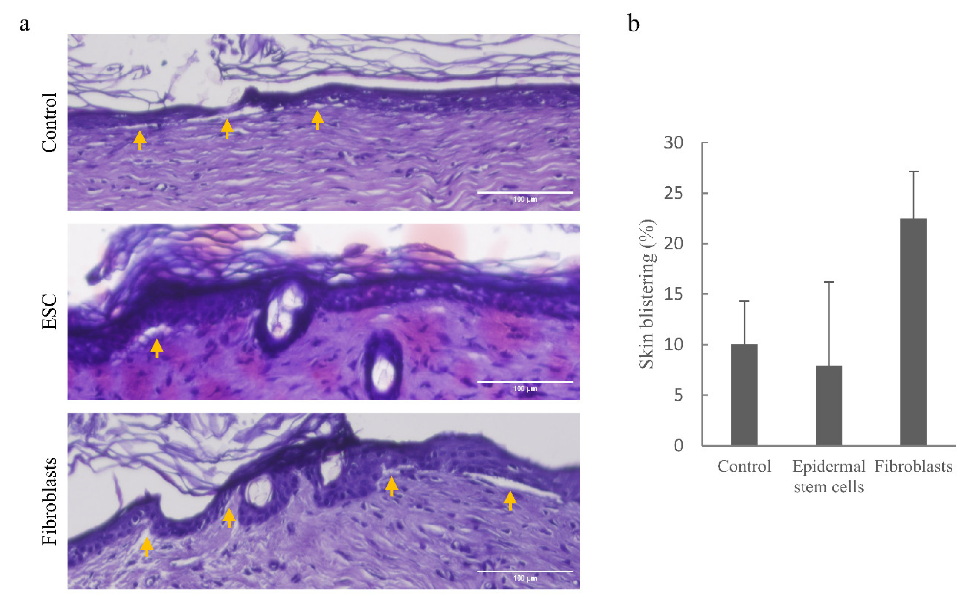 Pharmaceutics 14 01955 g006