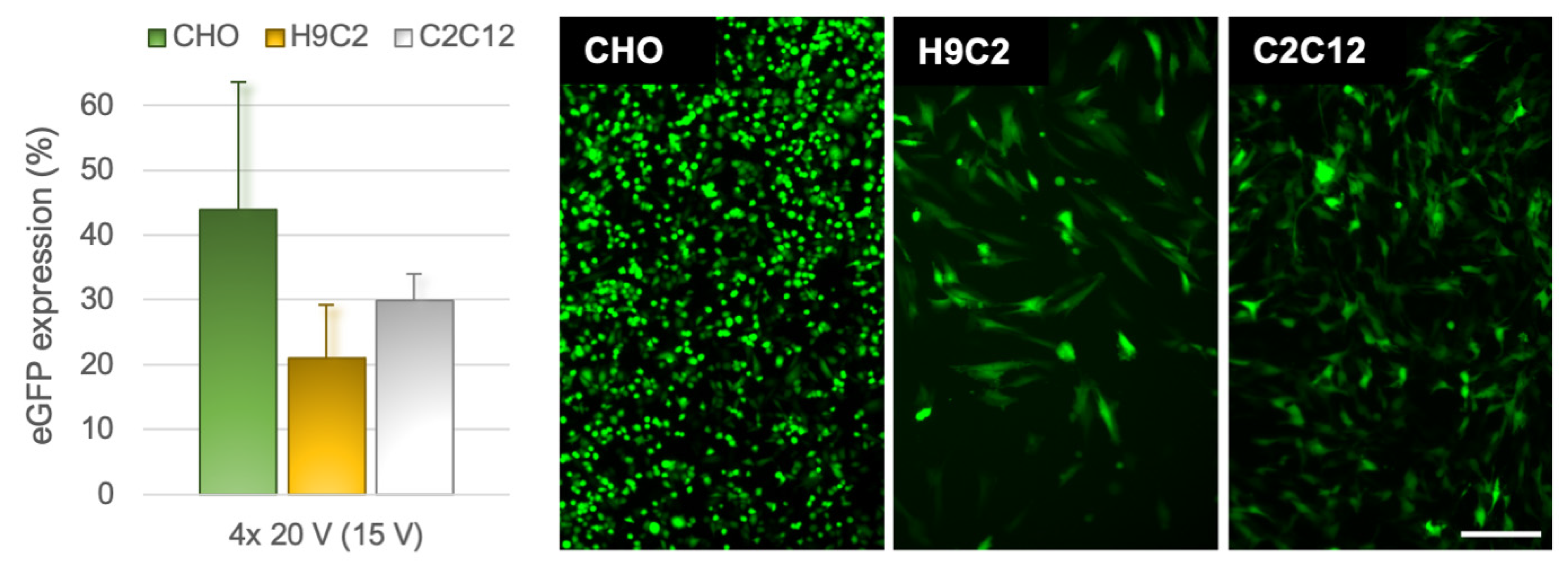 Pharmaceutics 14 01959 g007 Pharmaceutics 14 01959 g007