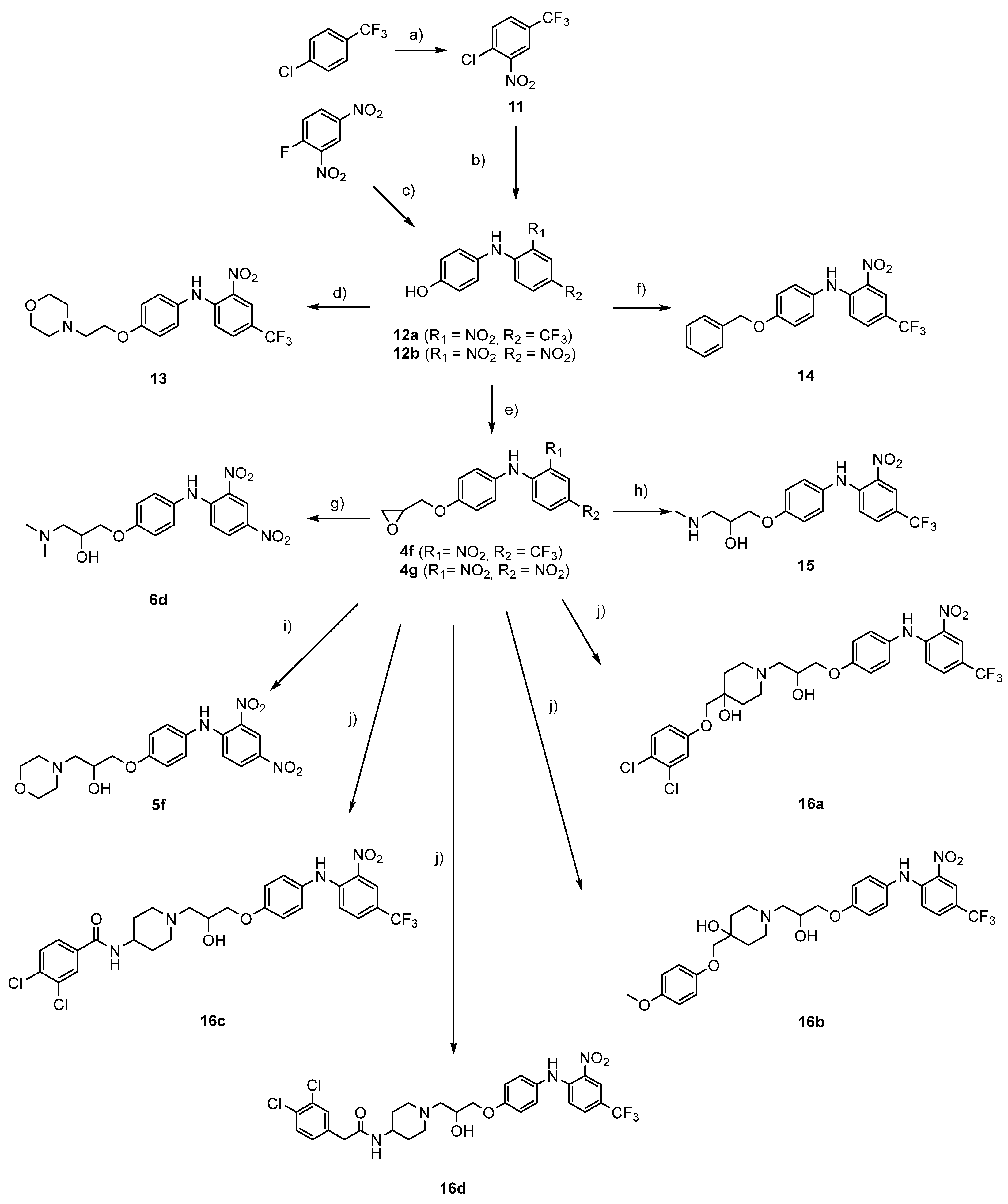 Pharmaceutics Free Full Text New Diarylamine Kv10 1 Inhibitors And Their Anticancer Potential