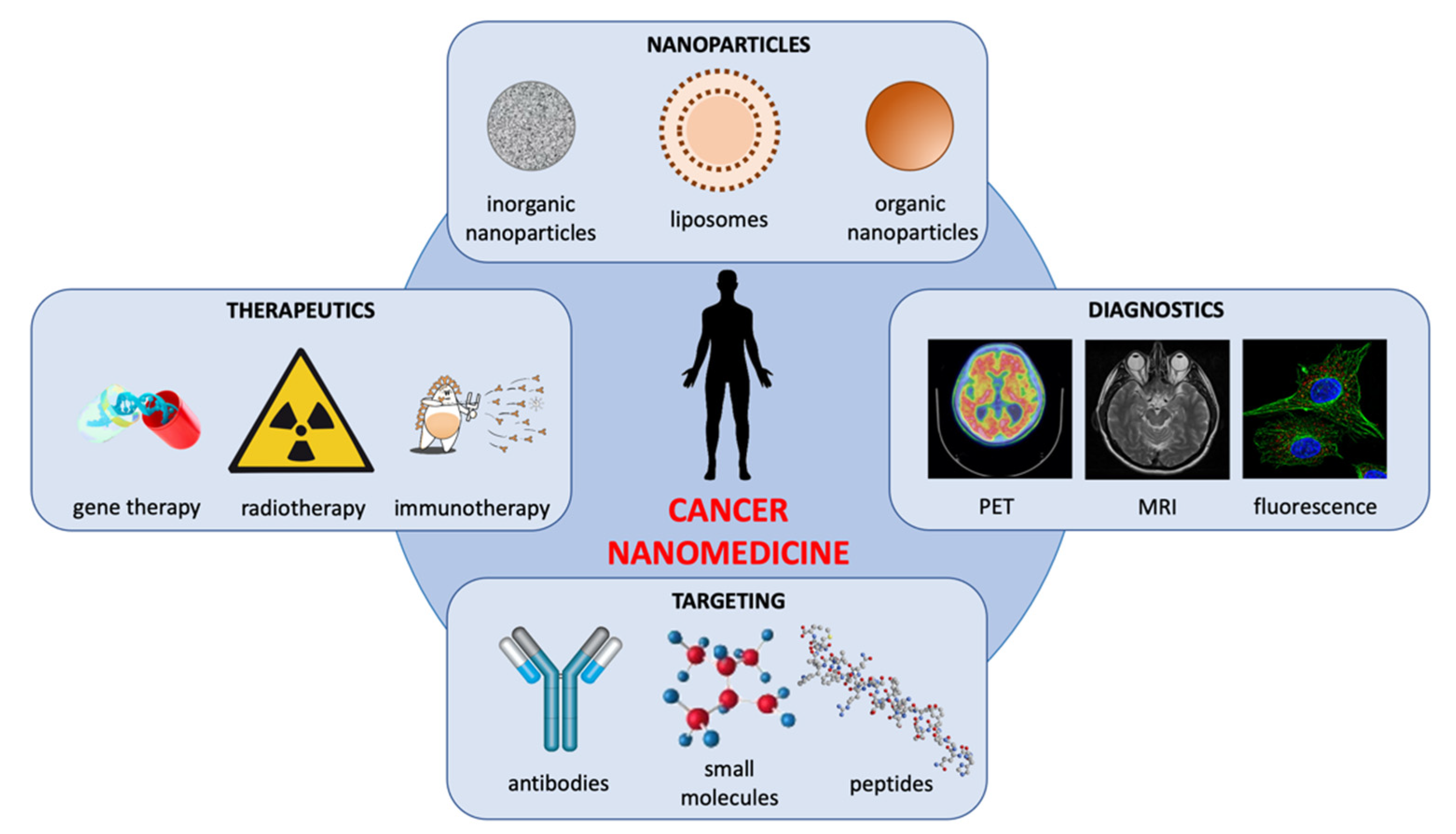 Pharmaceutics 14 01965 g001
