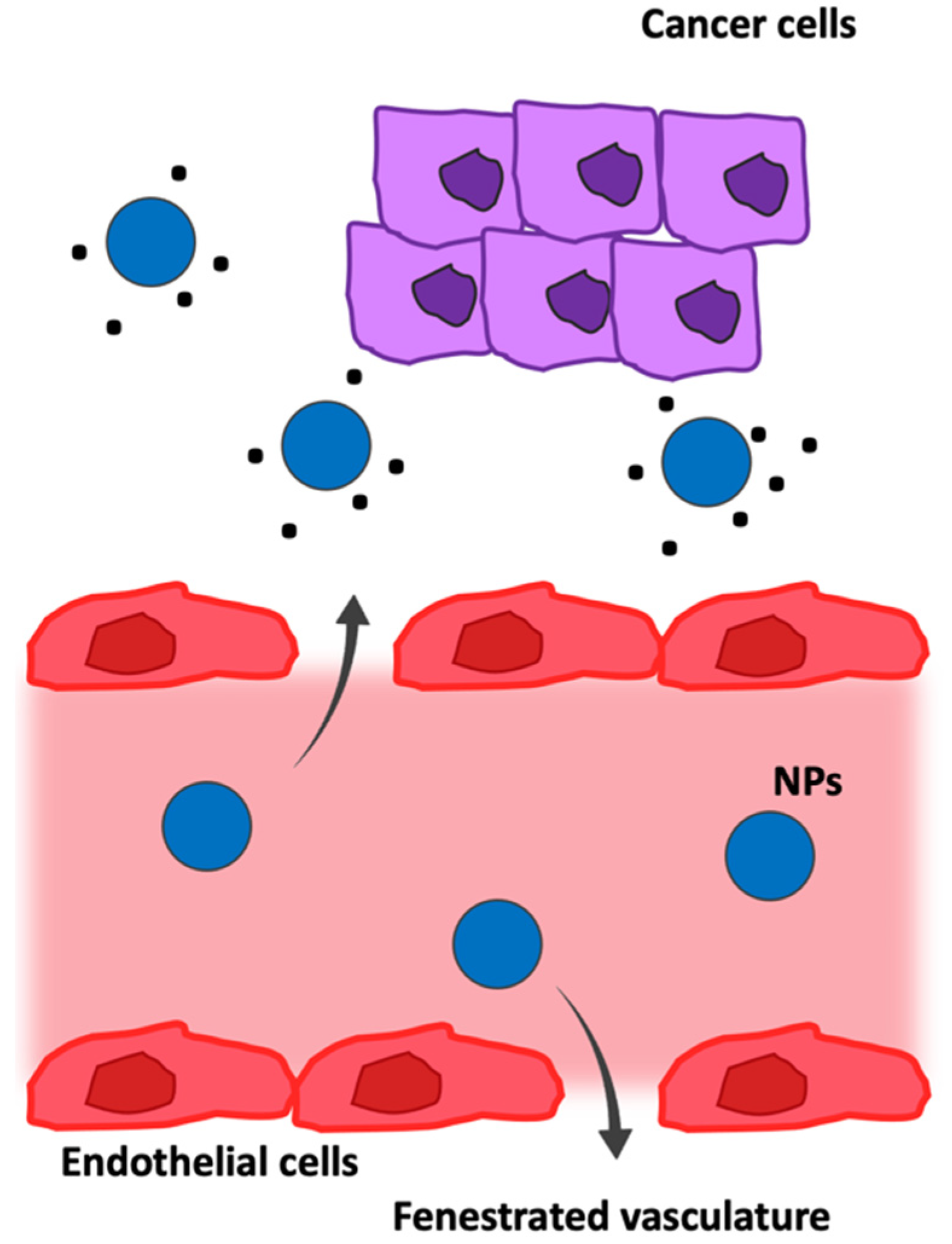 Pharmaceutics 14 01965 g006