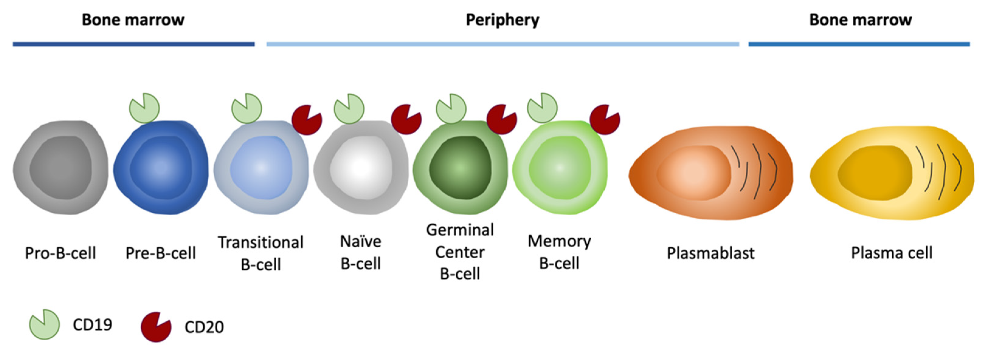 Pharmaceutics 14 01965 g008