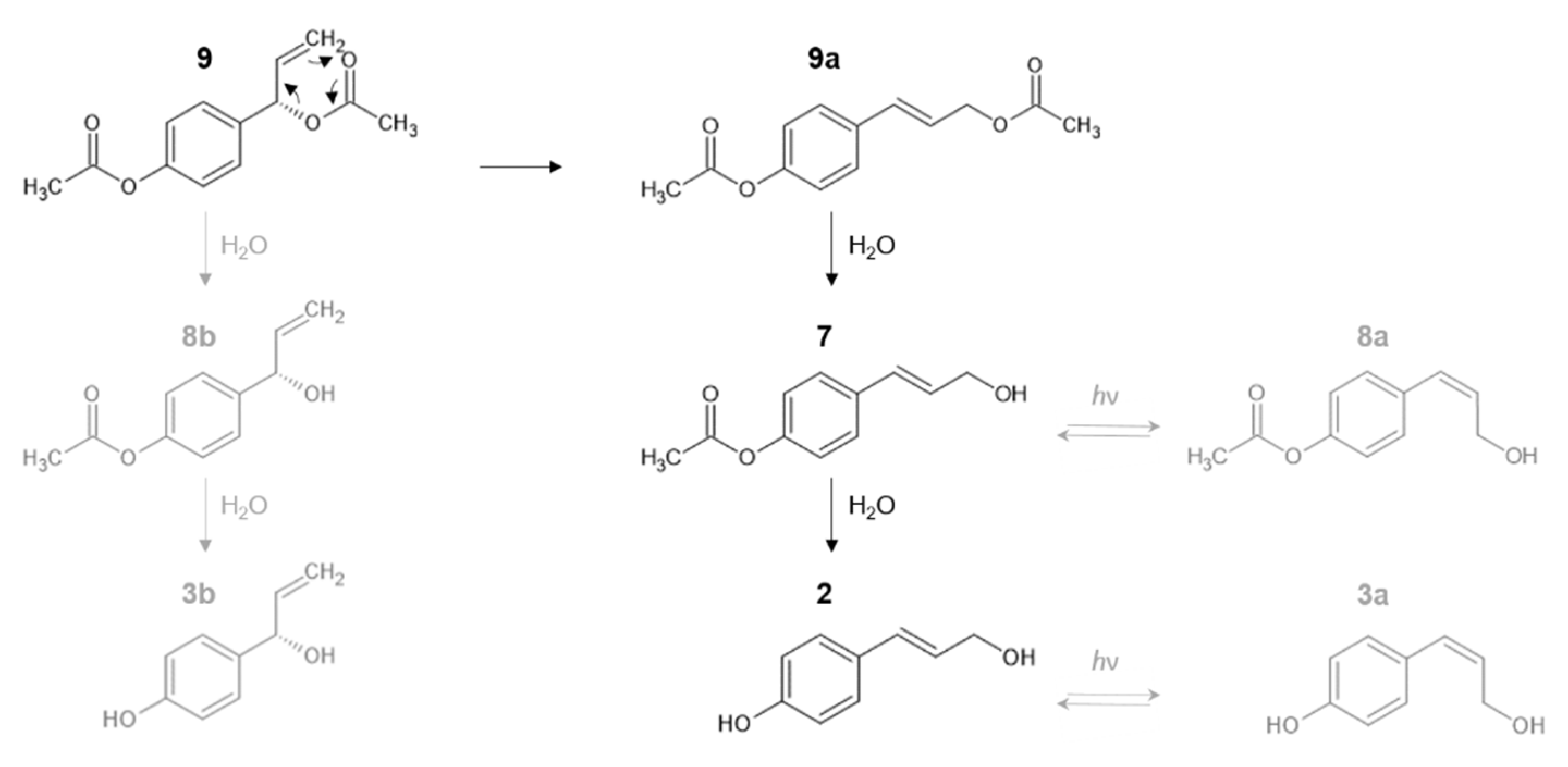 Pharmaceutics 14 01967 g007 550