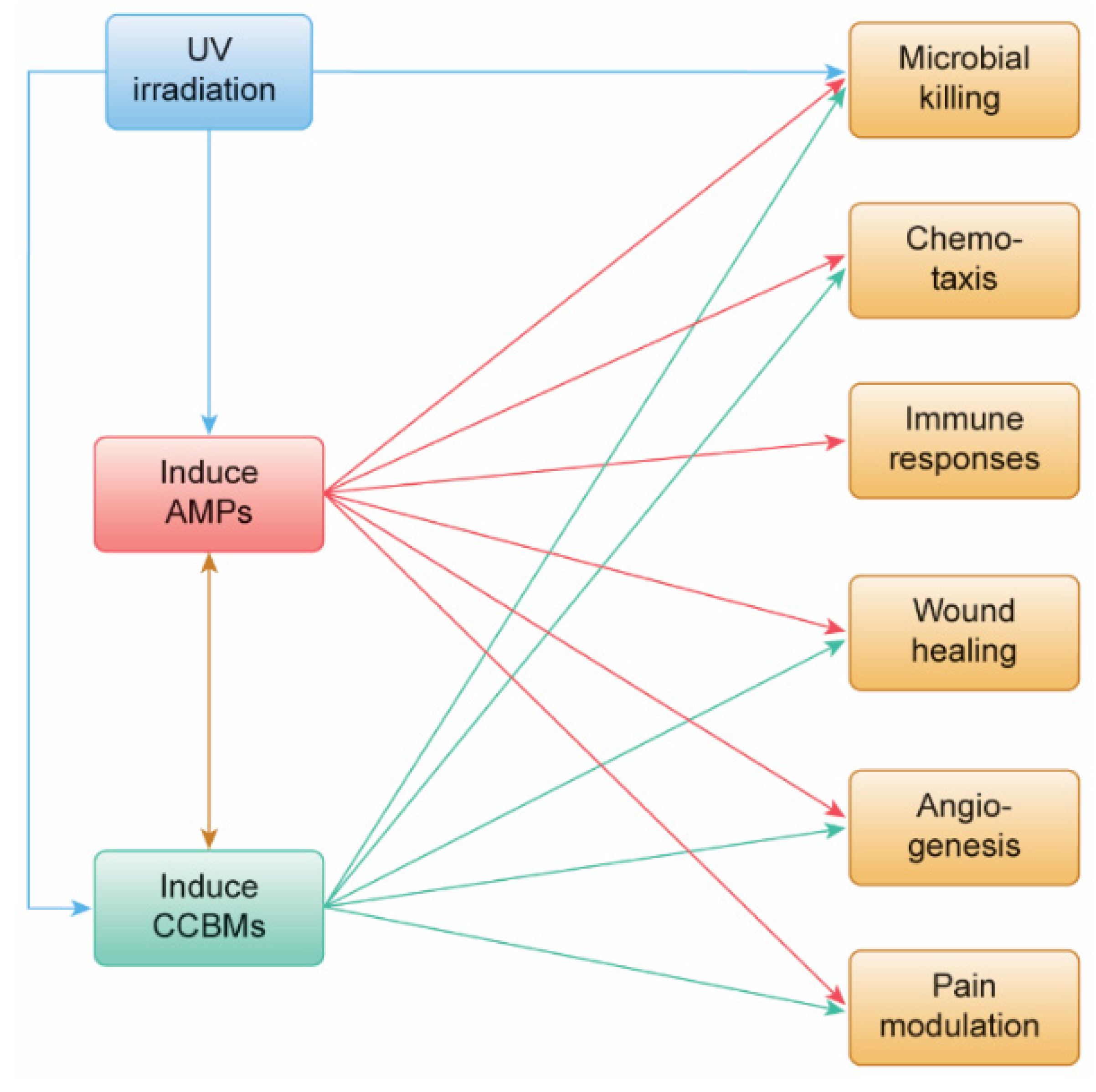 Pharmaceutics 14 01979 g001 Pharmaceutics 14 01979 g001