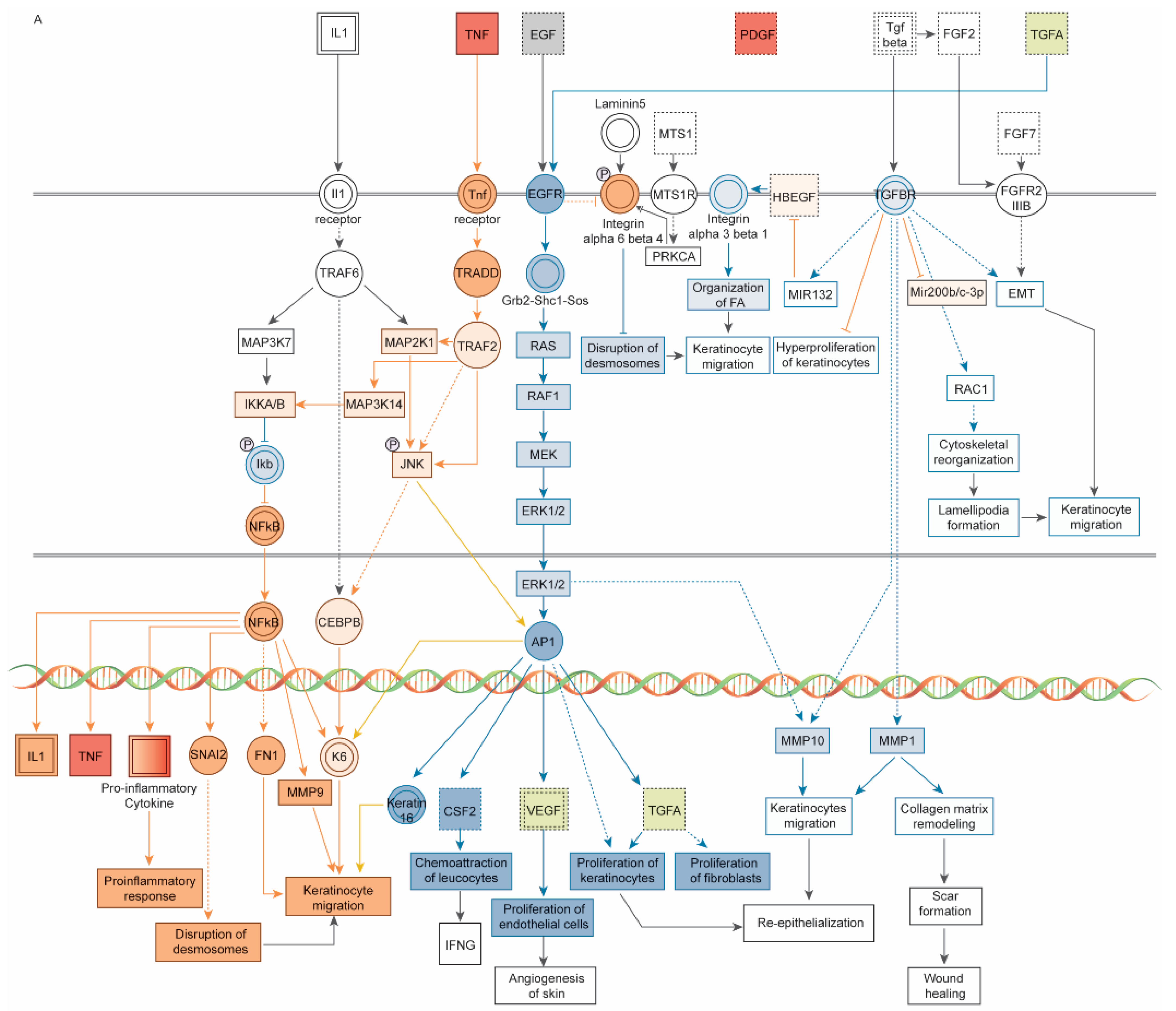 Pharmaceutics 14 01979 g004a Pharmaceutics 14 01979 g004a