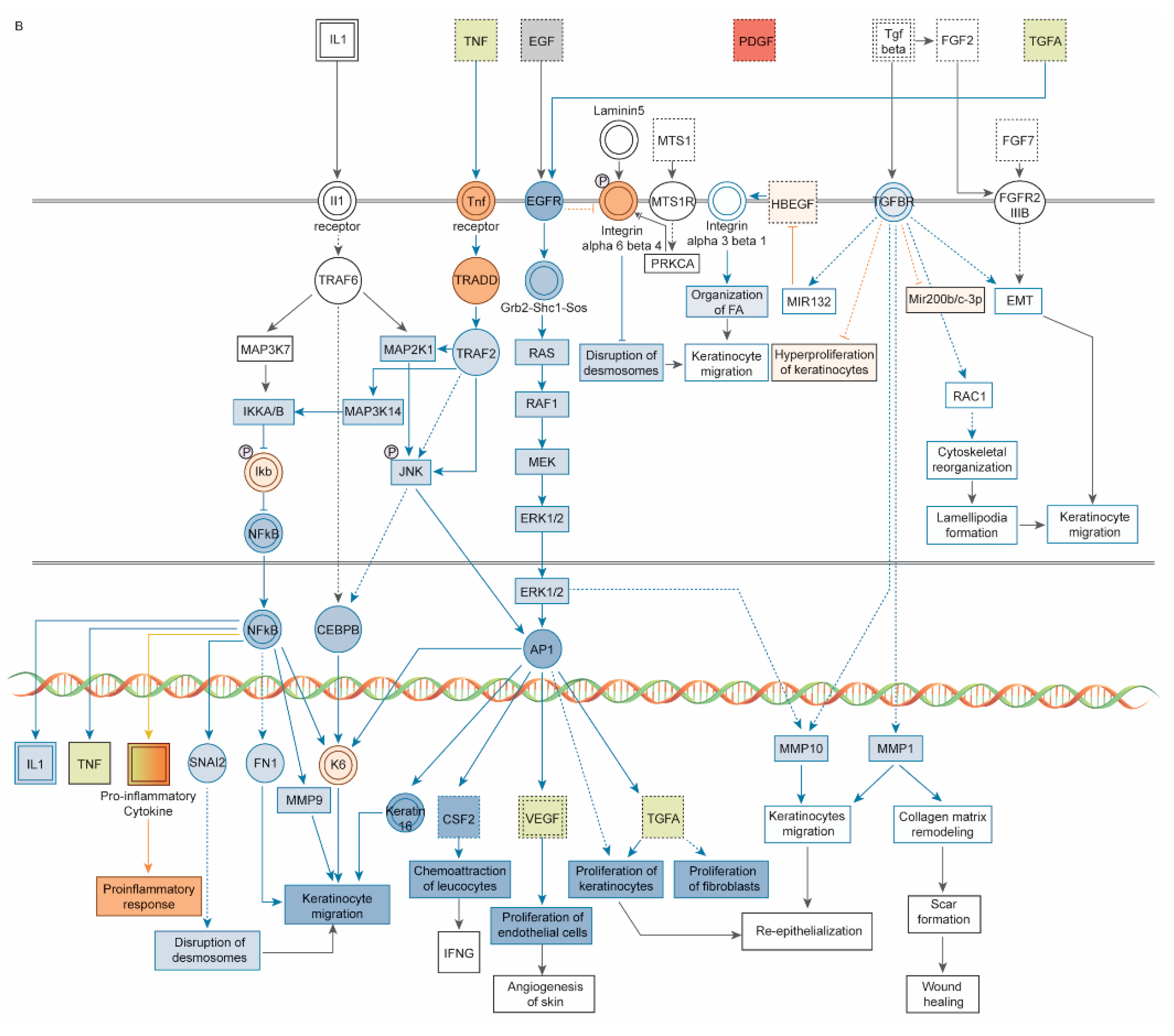 Pharmaceutics 14 01979 g004b Pharmaceutics 14 01979 g004b