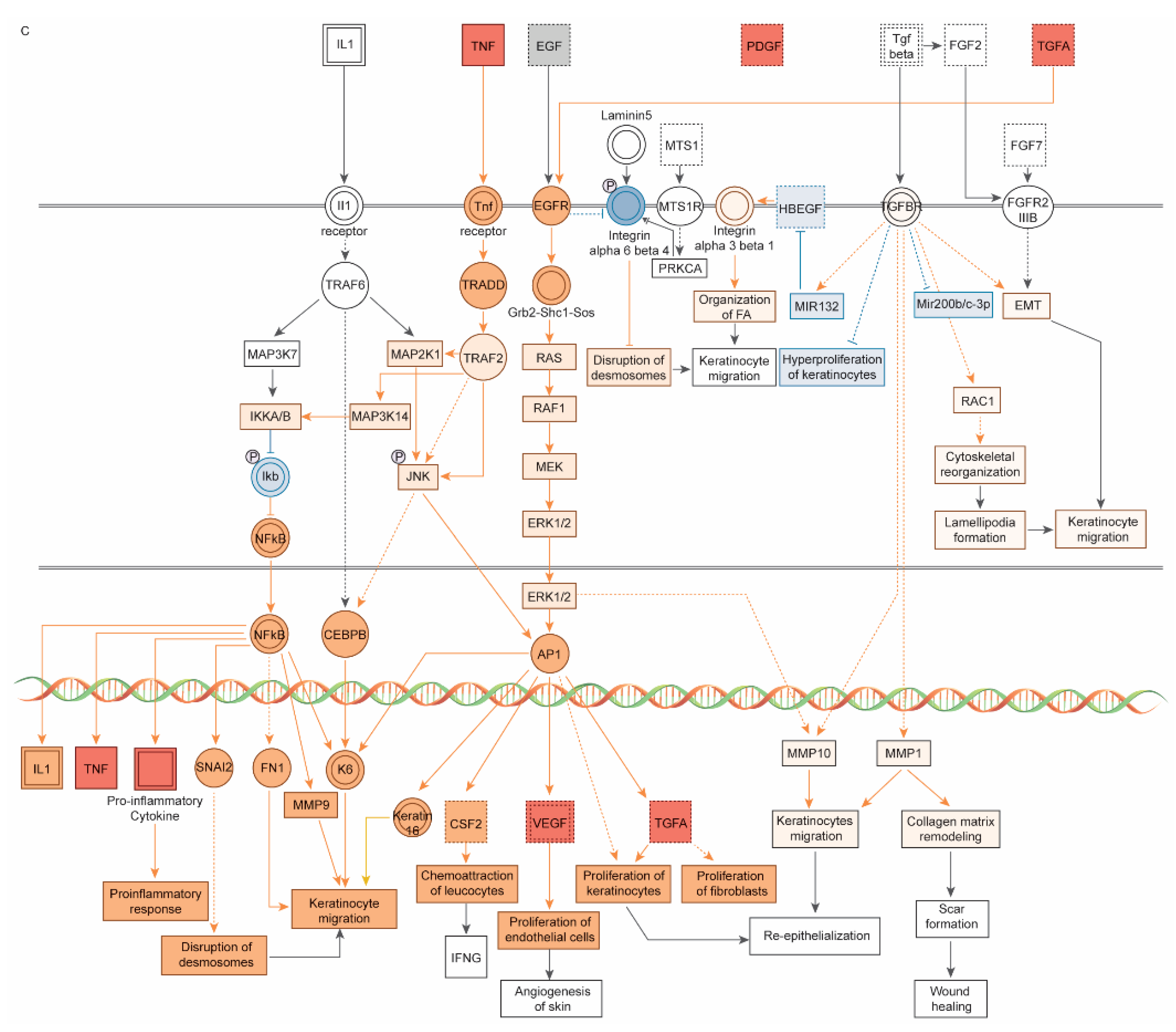 Pharmaceutics 14 01979 g004c Pharmaceutics 14 01979 g004c