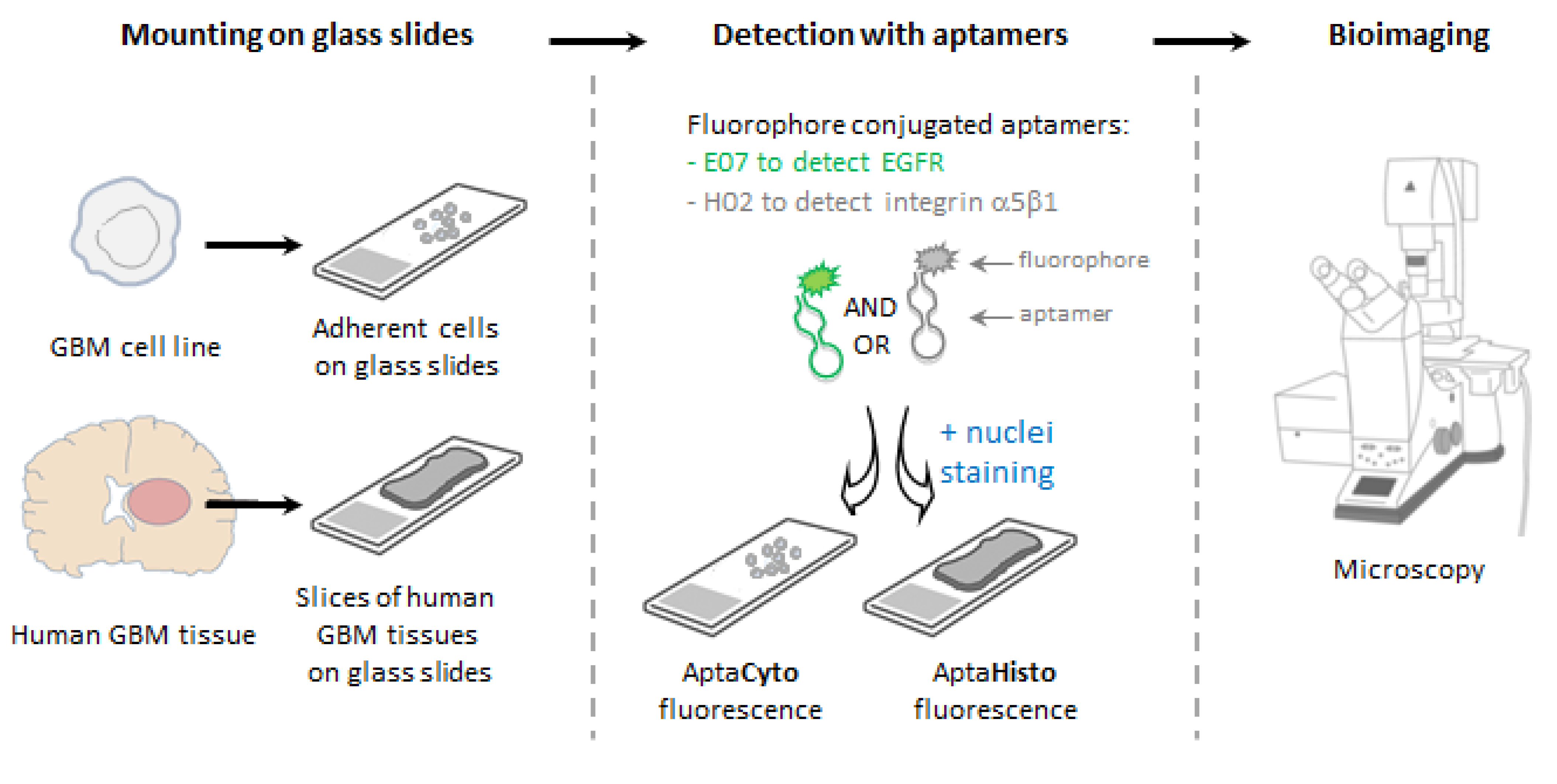 Pharmaceutics 14 01980 g001 Pharmaceutics 14 01980 g001