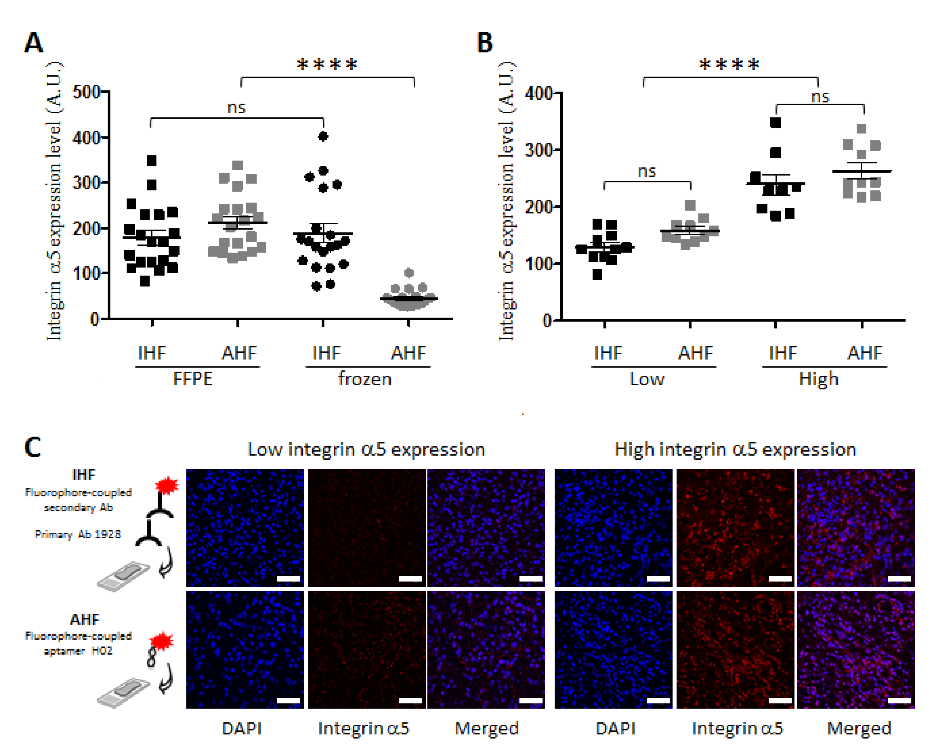Pharmaceutics 14 01980 g003 Pharmaceutics 14 01980 g003