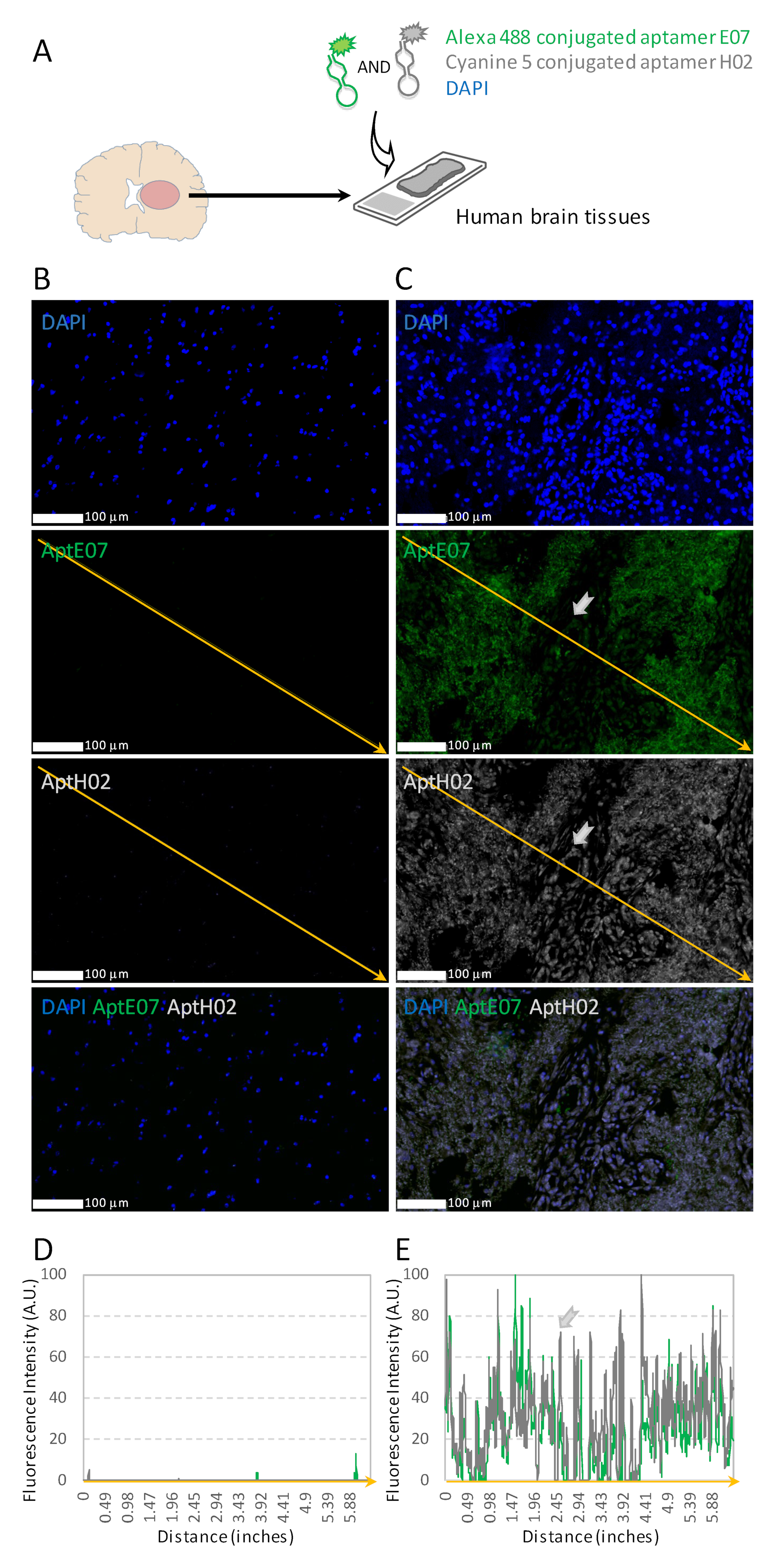 Pharmaceutics 14 01980 g005 Pharmaceutics 14 01980 g005