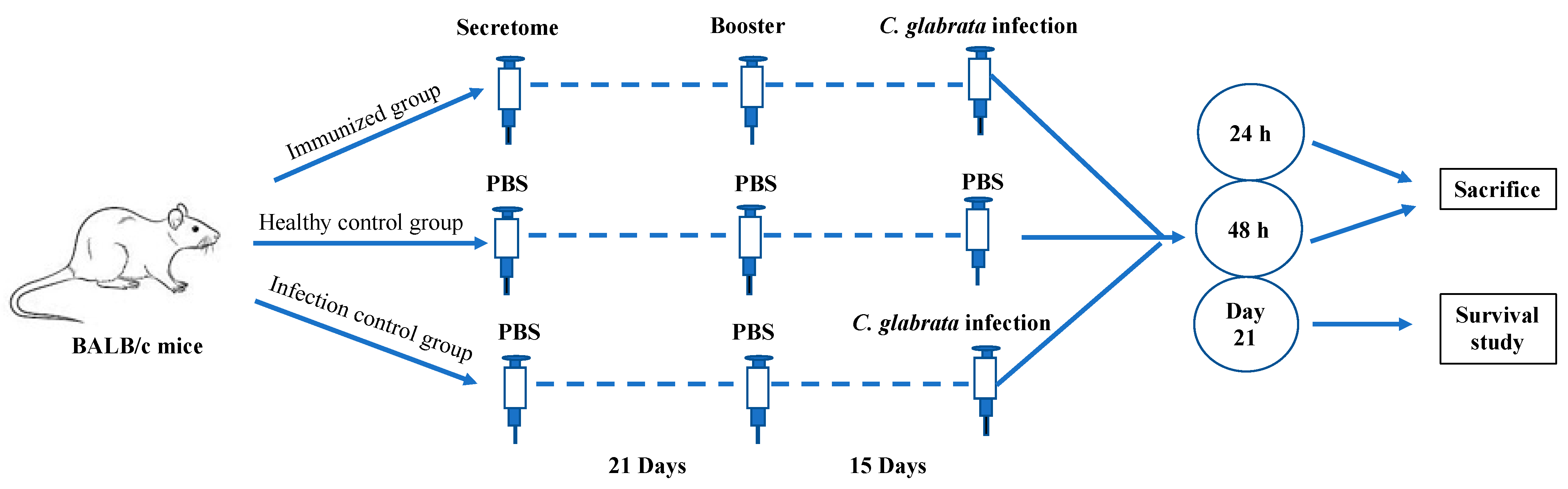 Pharmaceutics 14 01989 g001 Pharmaceutics 14 01989 g001