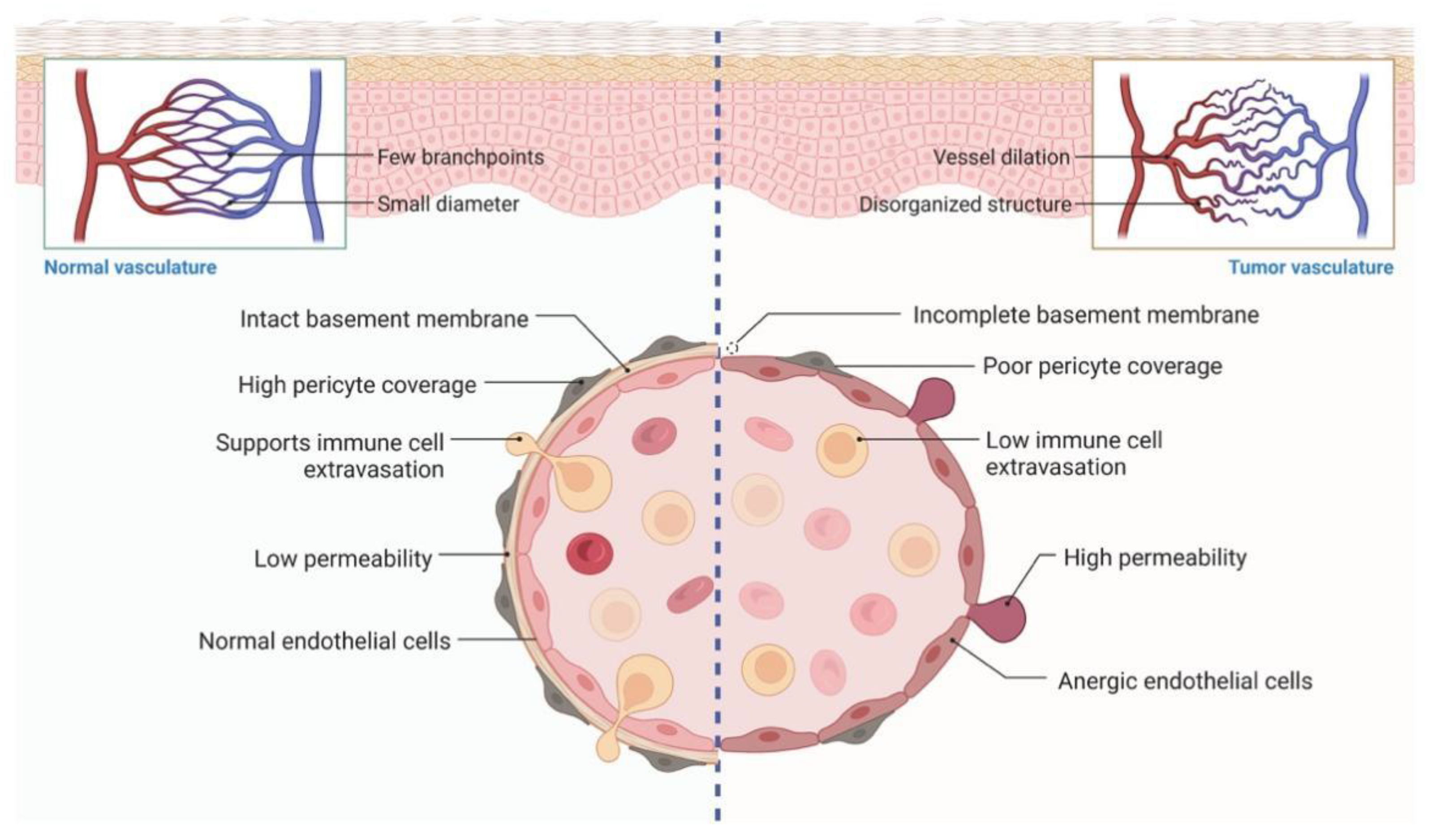 Pharmaceutics 14 01990 g005