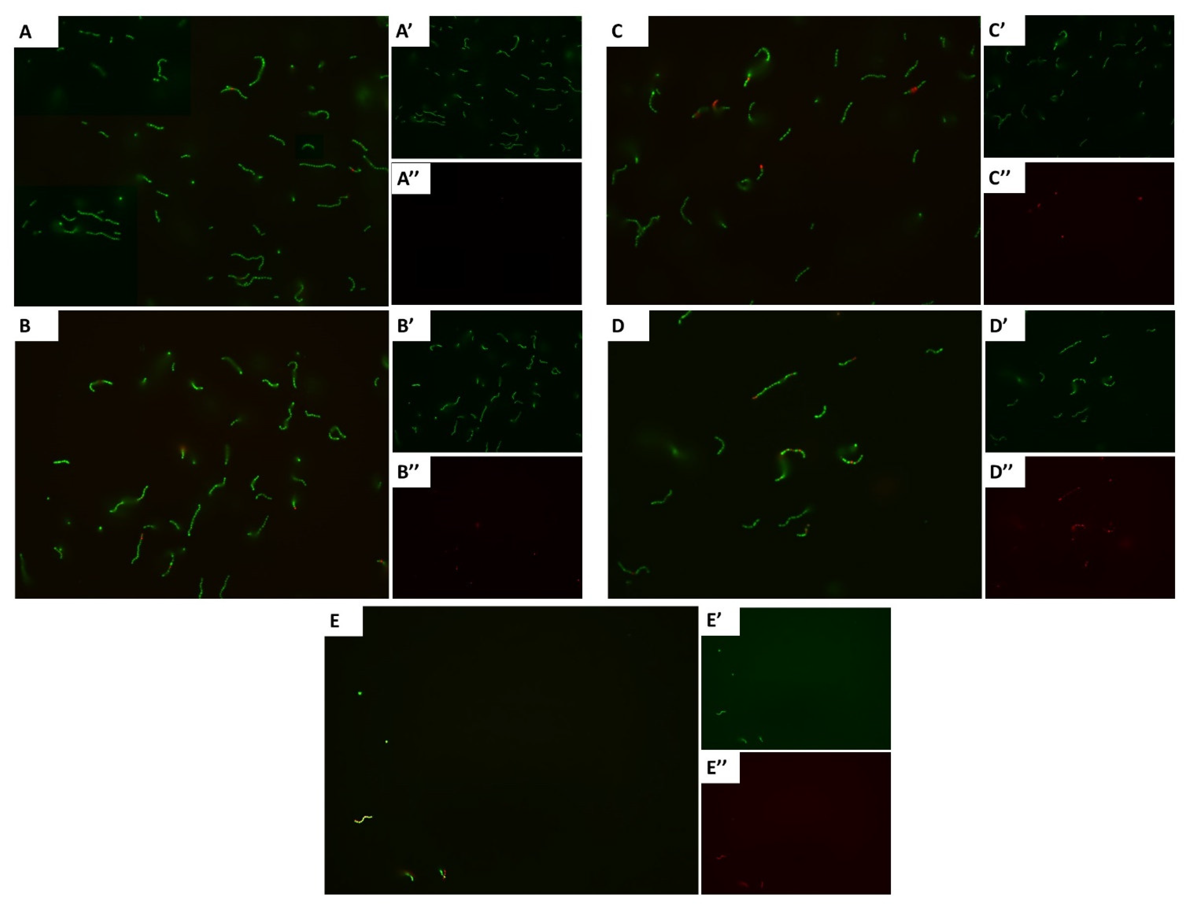 Pharmaceutics 14 01992 g002 Pharmaceutics 14 01992 g002
