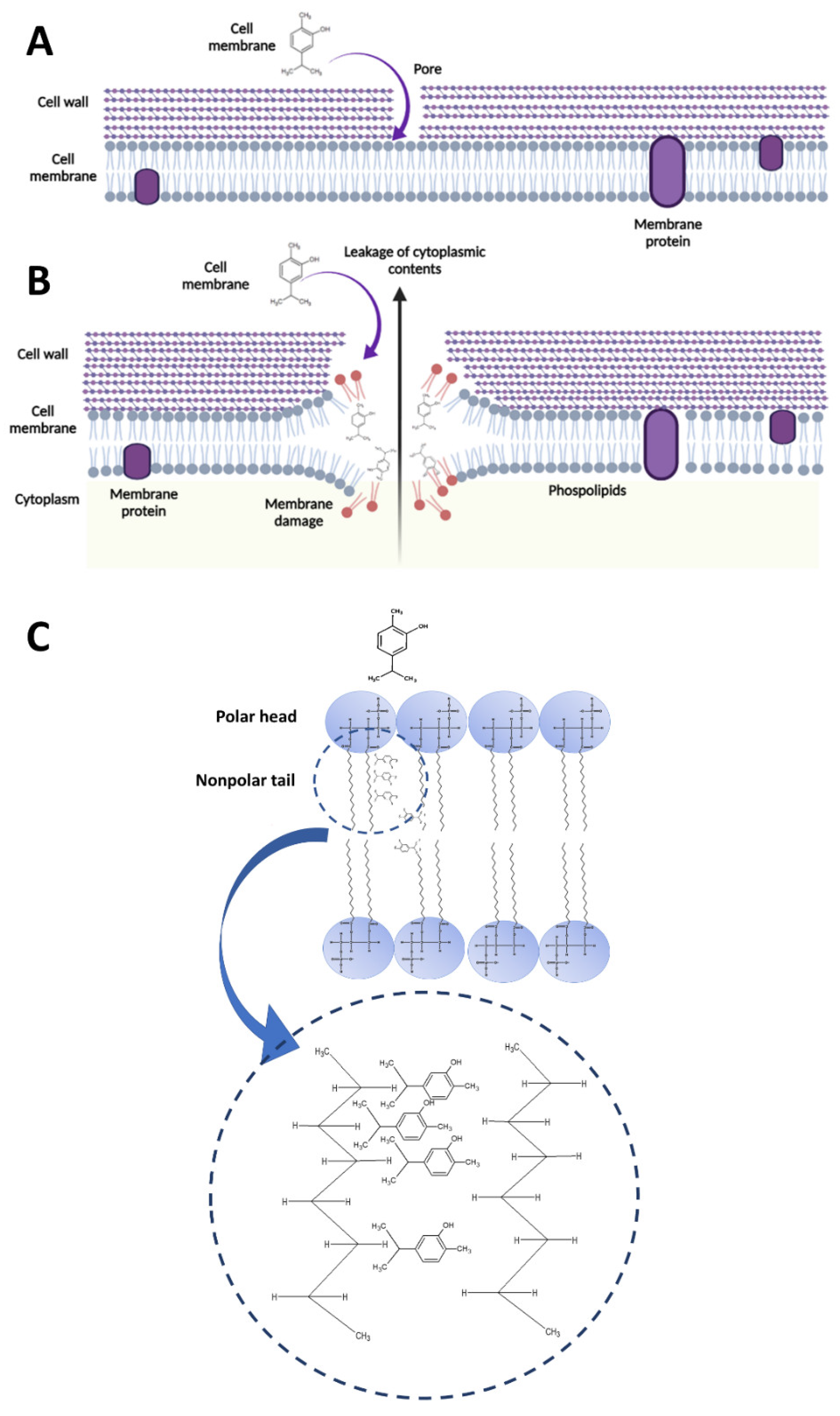 Pharmaceutics 14 01992 g006 Pharmaceutics 14 01992 g006