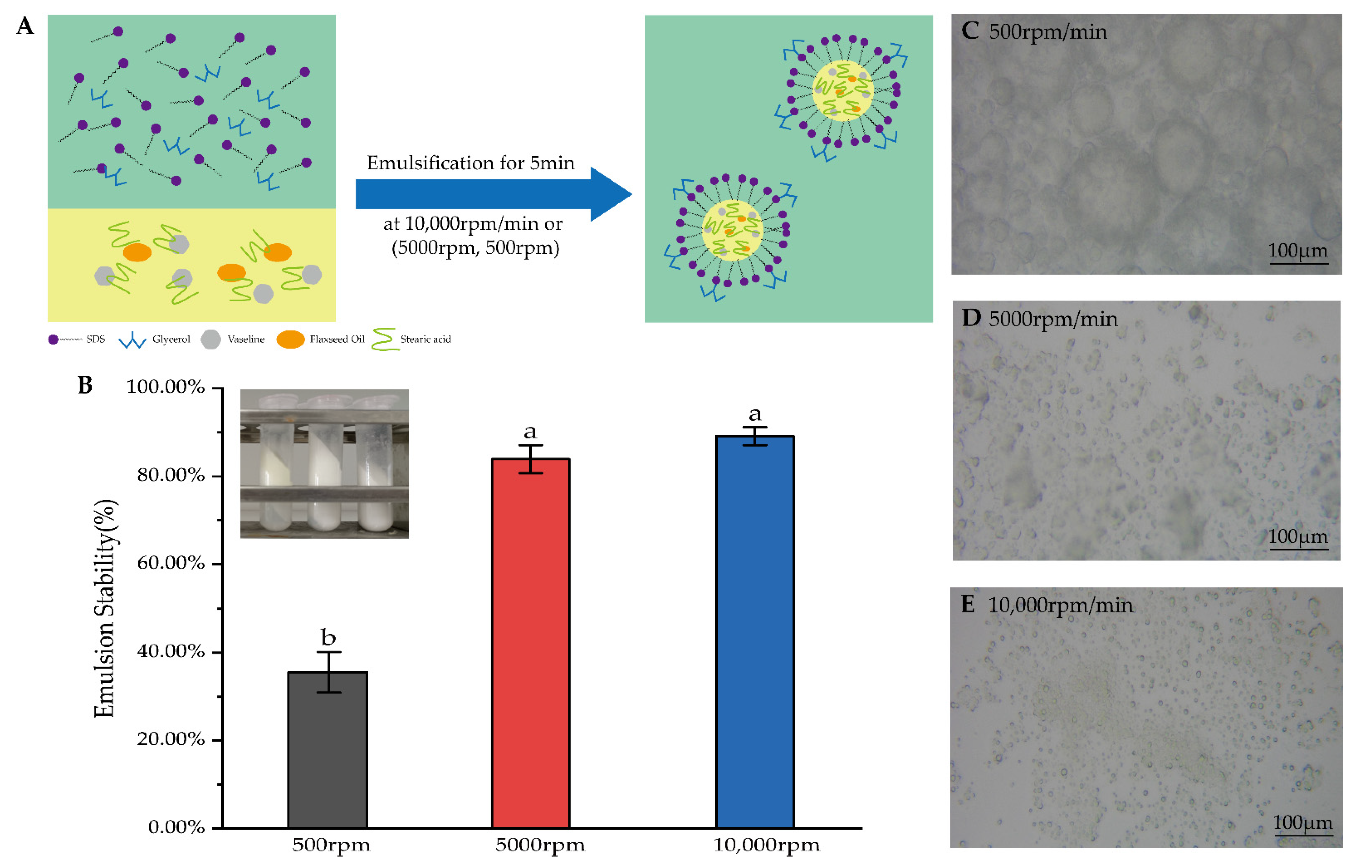 Pharmaceutics 14 01993 g003 Pharmaceutics 14 01993 g003