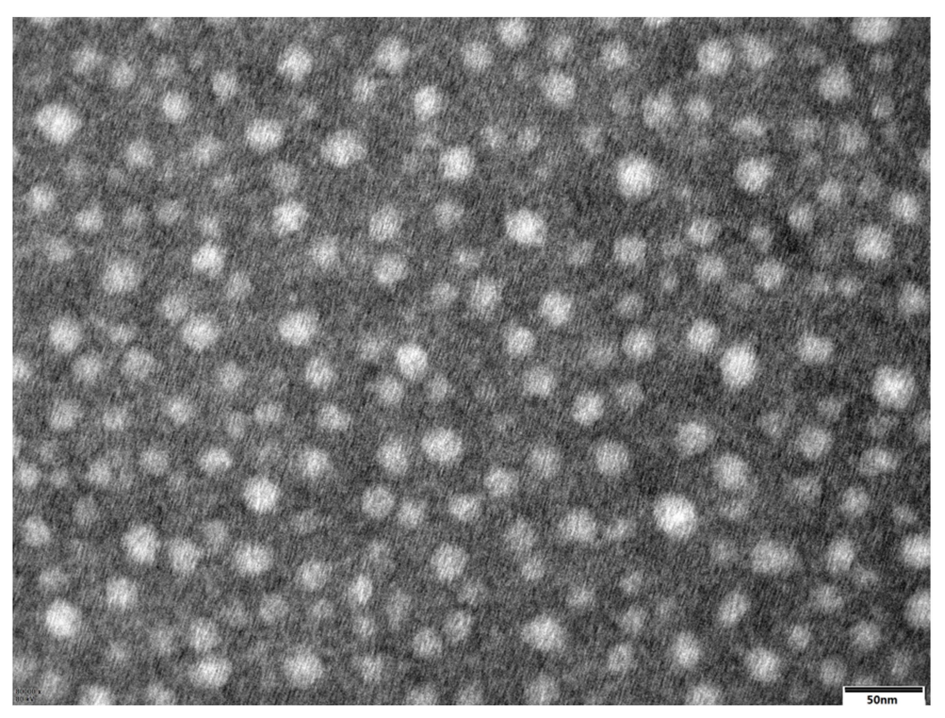 Pharmaceutics 14 02000 g001