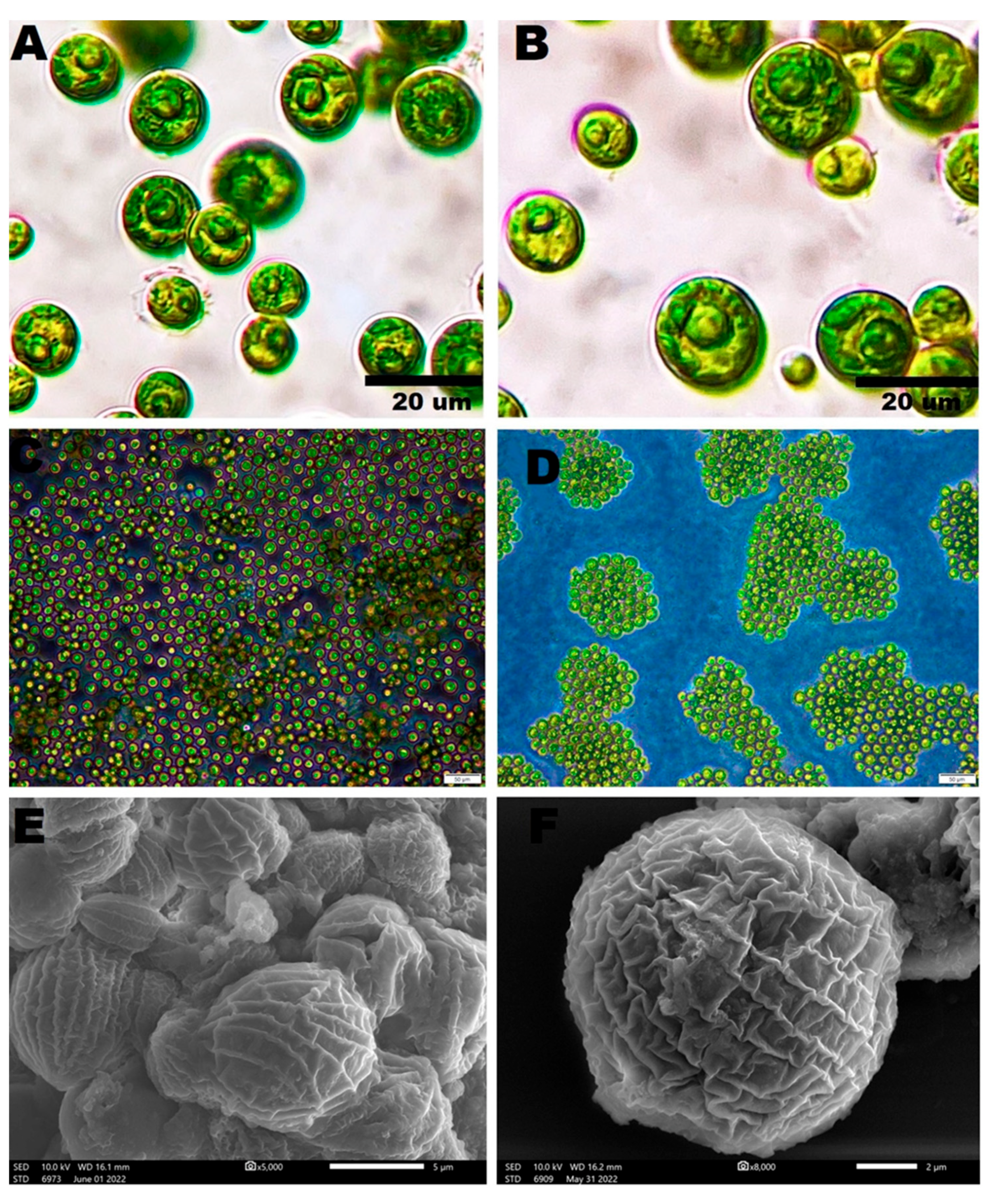 Pharmaceutics 14 02002 g001 Pharmaceutics 14 02002 g001