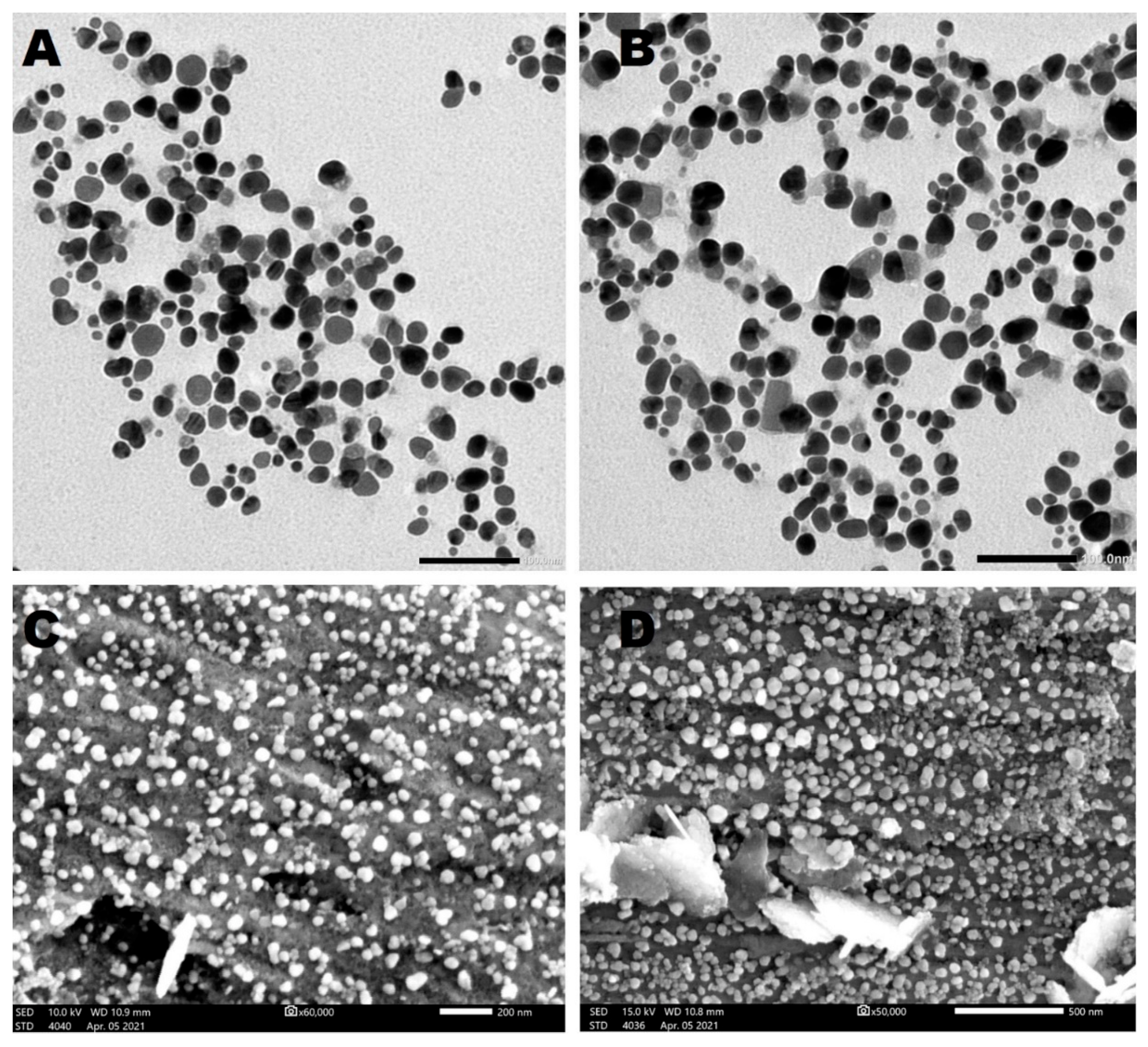 Pharmaceutics 14 02002 g007 Pharmaceutics 14 02002 g007
