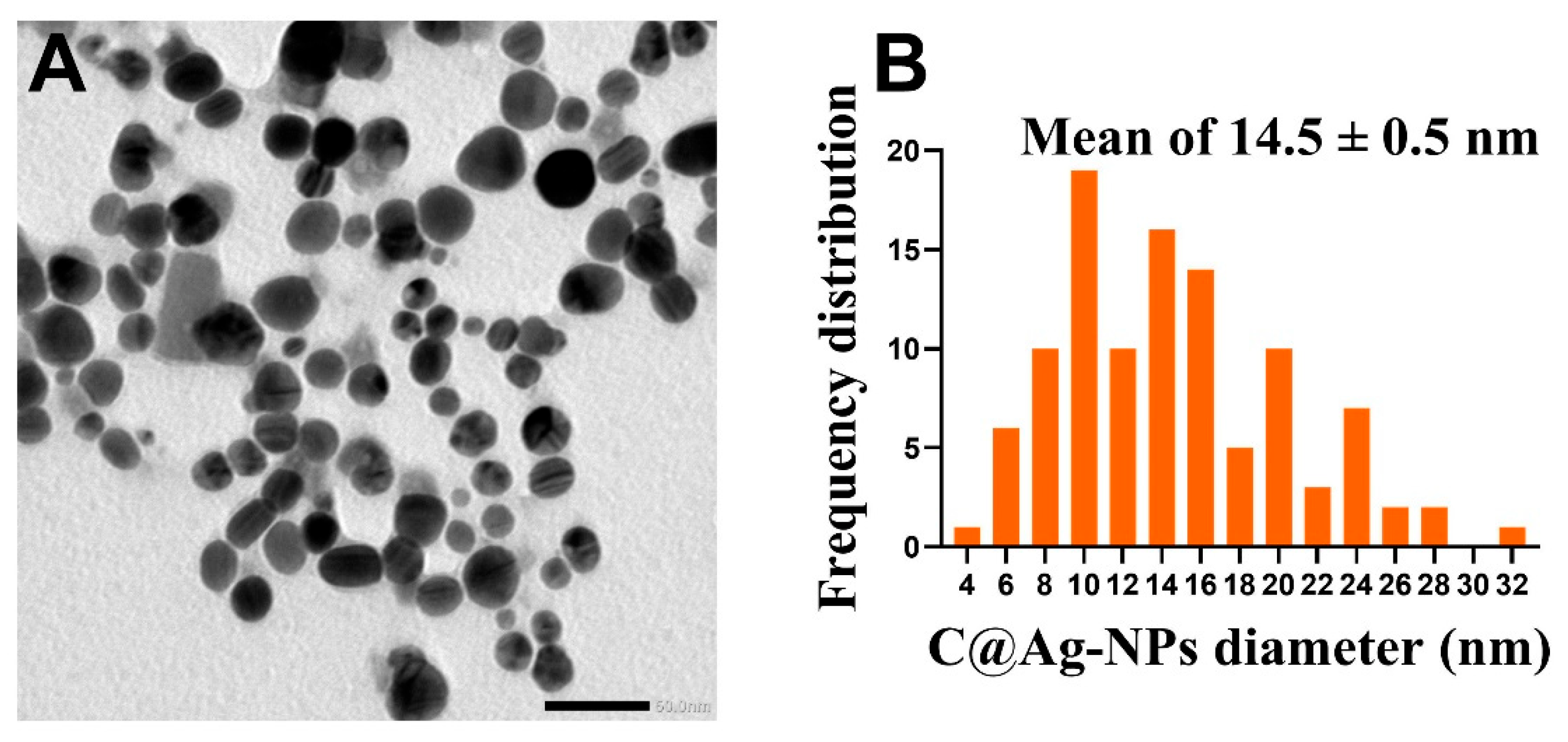 Pharmaceutics 14 02002 g008 Pharmaceutics 14 02002 g008