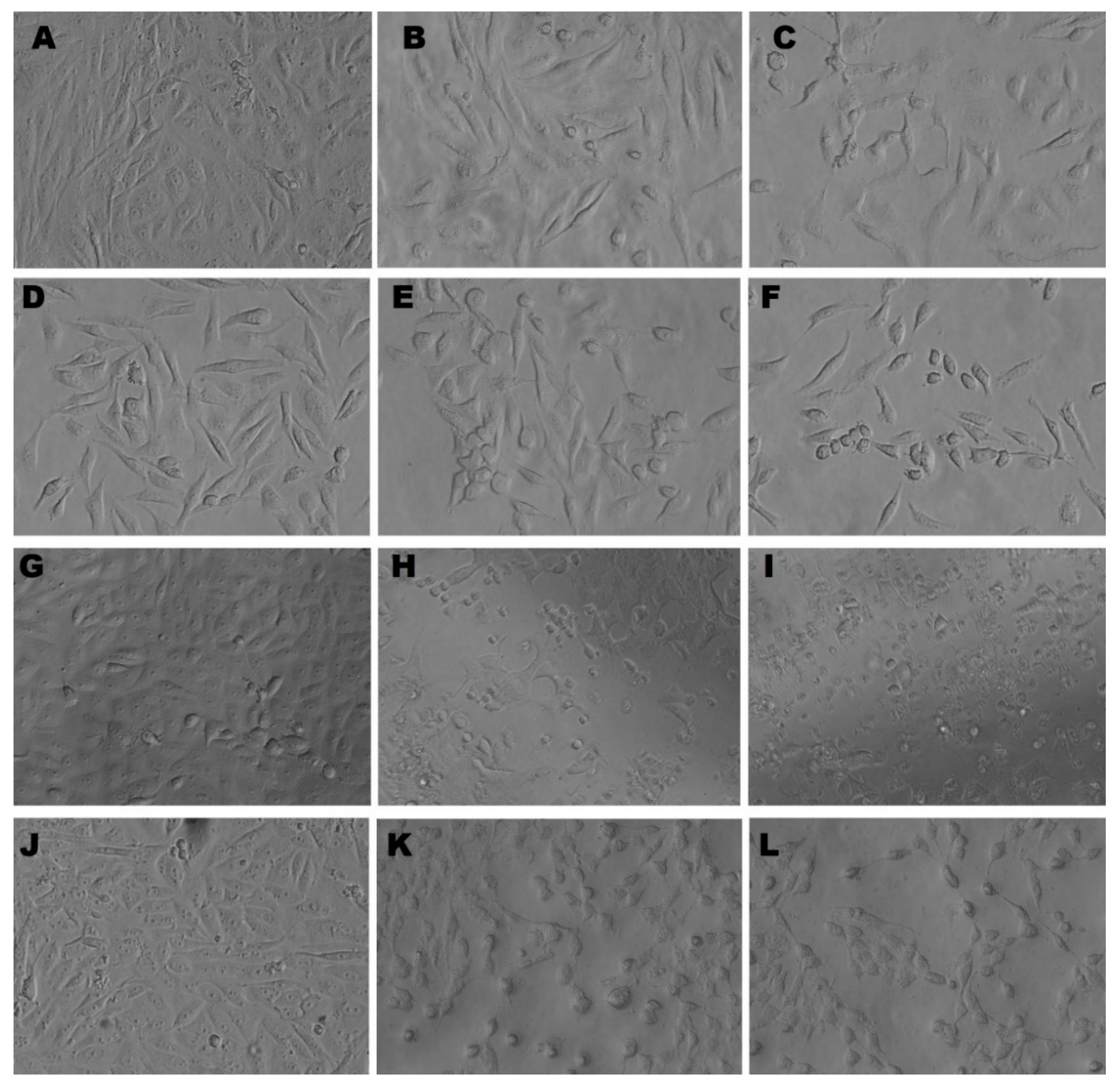 Pharmaceutics 14 02002 g013 Pharmaceutics 14 02002 g013
