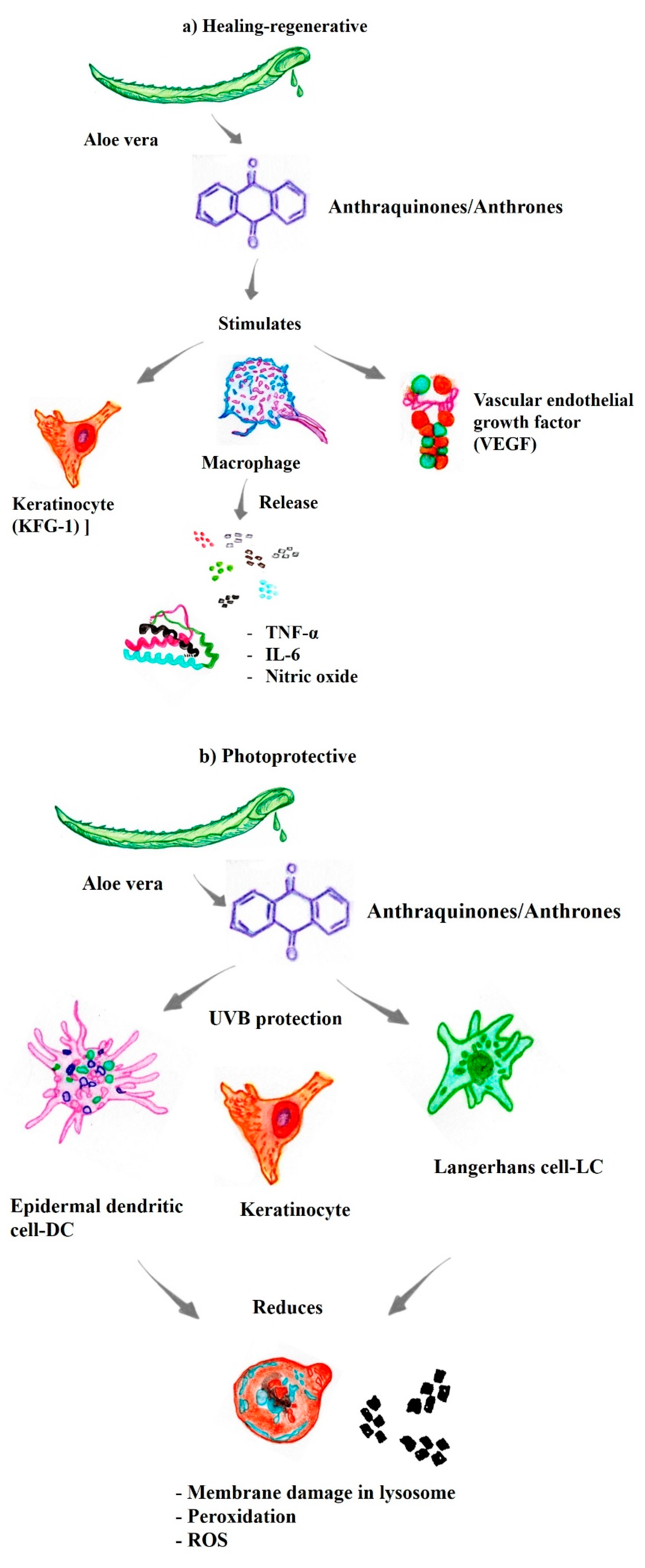 Pharmaceutics 14 02004 g002a Pharmaceutics 14 02004 g002a