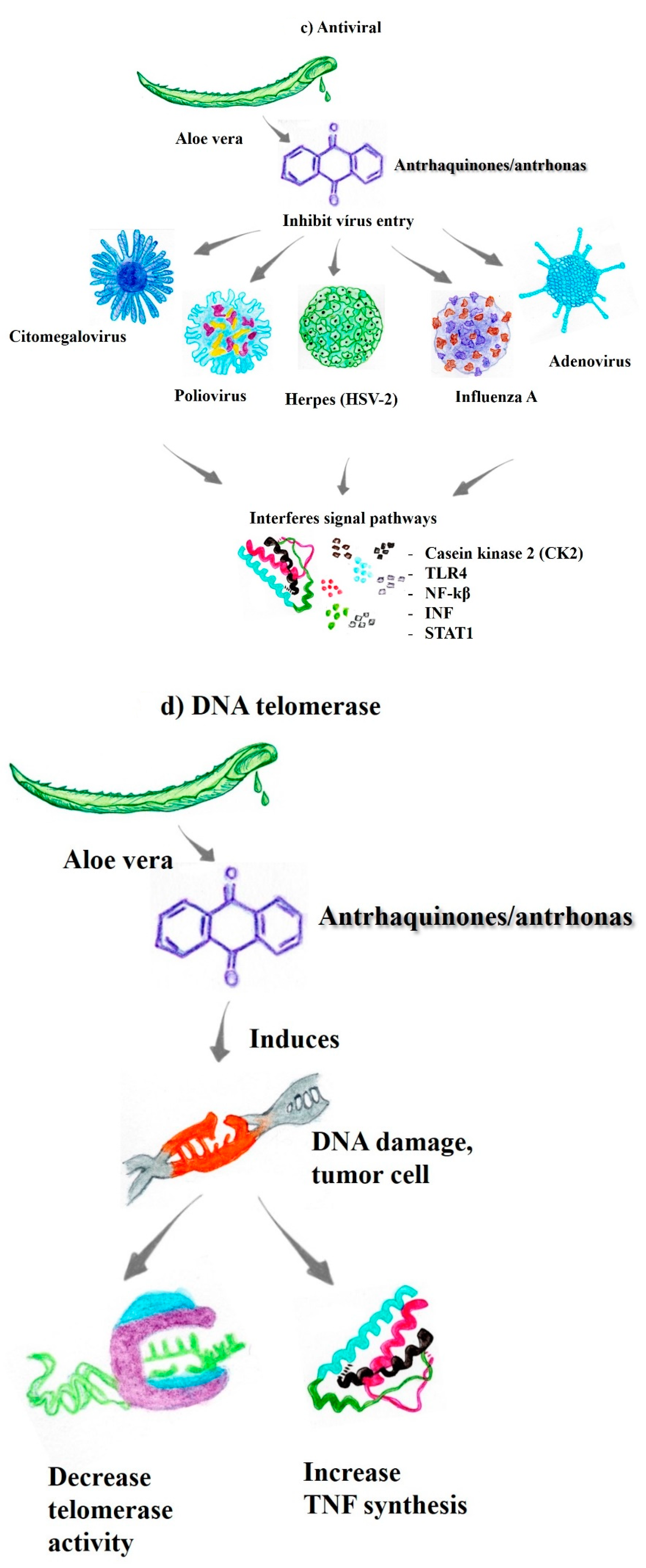 Pharmaceutics 14 02004 g002b Pharmaceutics 14 02004 g002b