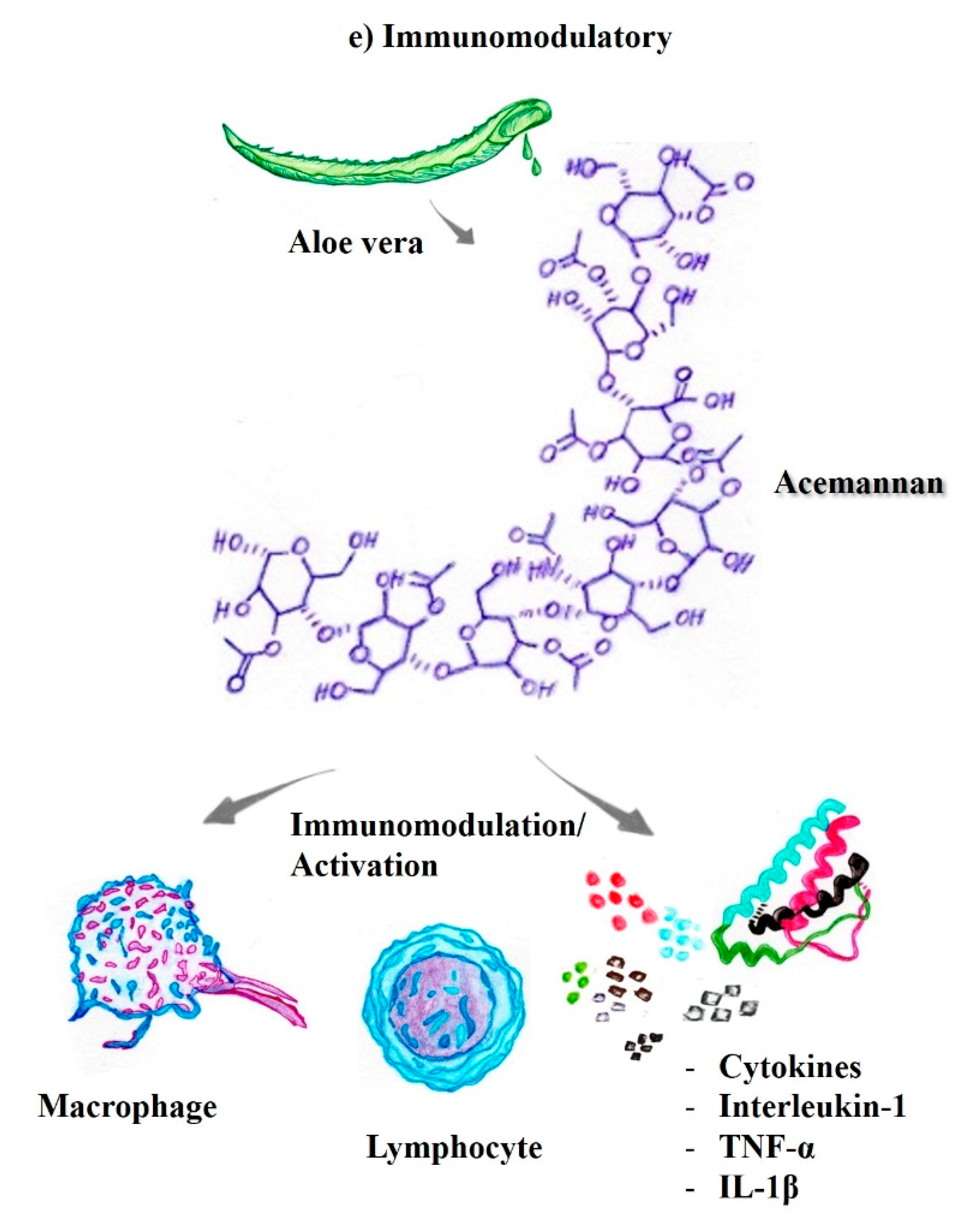 Pharmaceutics 14 02004 g002c Pharmaceutics 14 02004 g002c
