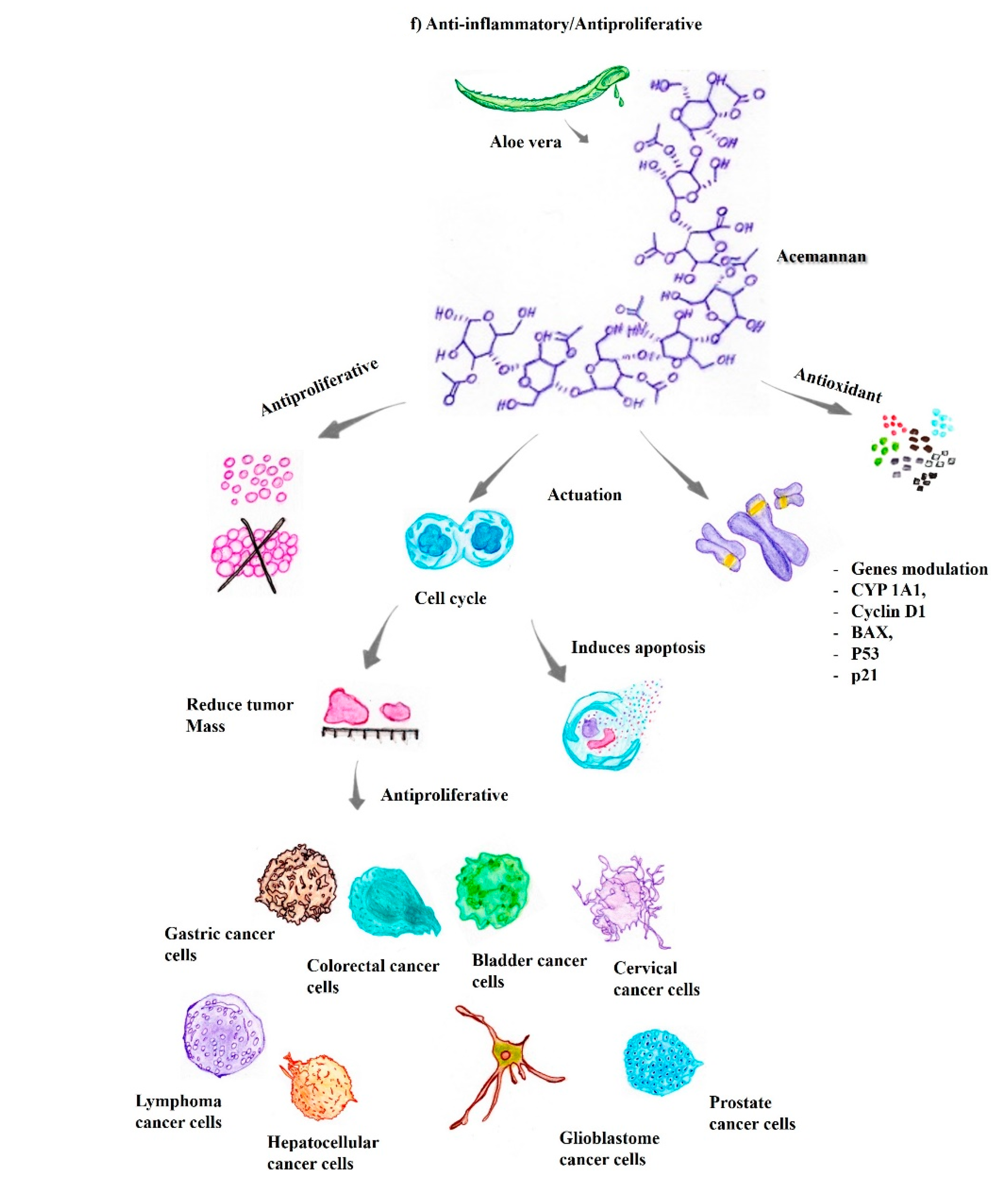 Pharmaceutics 14 02004 g002d Pharmaceutics 14 02004 g002d