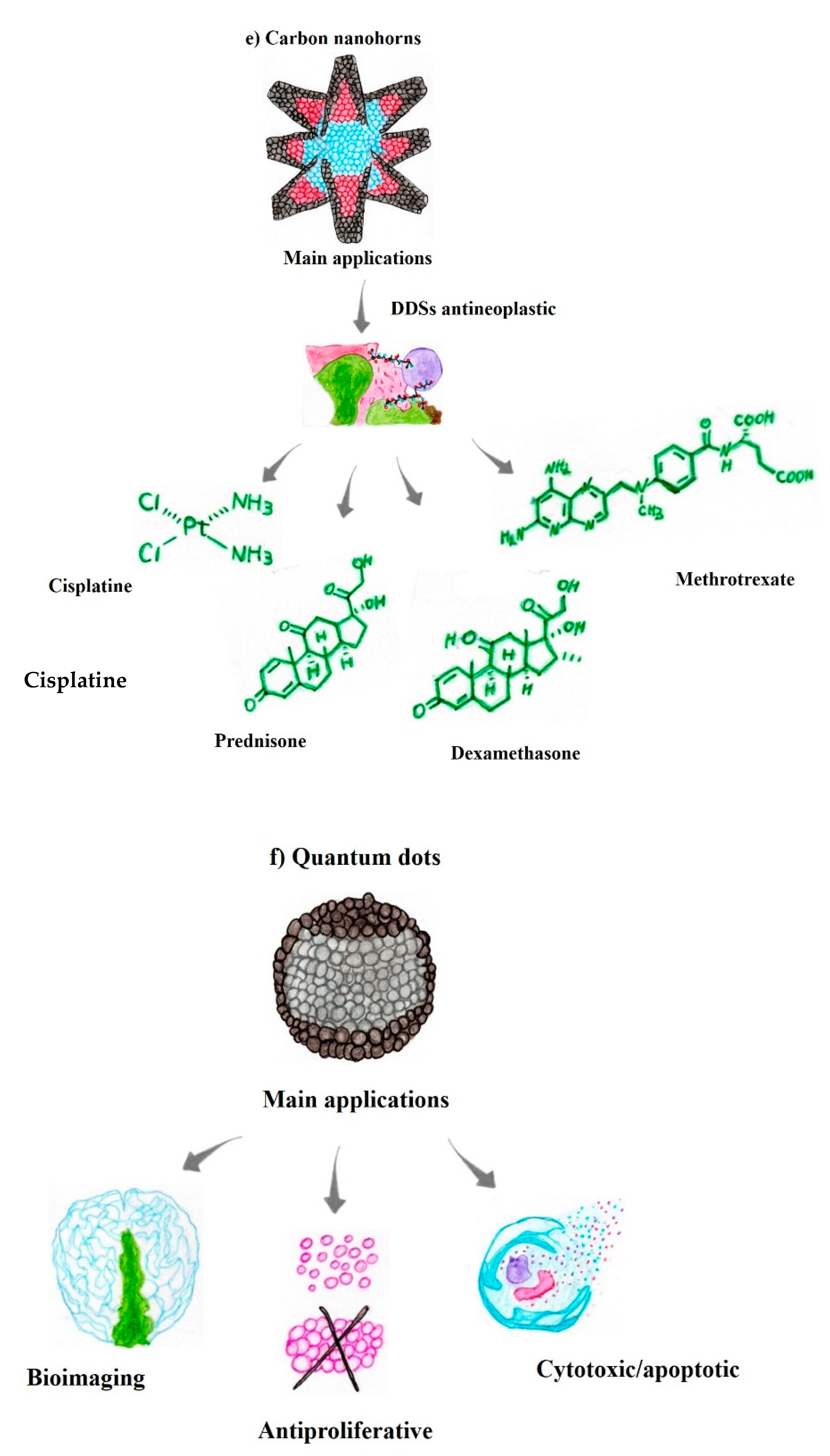 Pharmaceutics 14 02004 g003c Pharmaceutics 14 02004 g003c