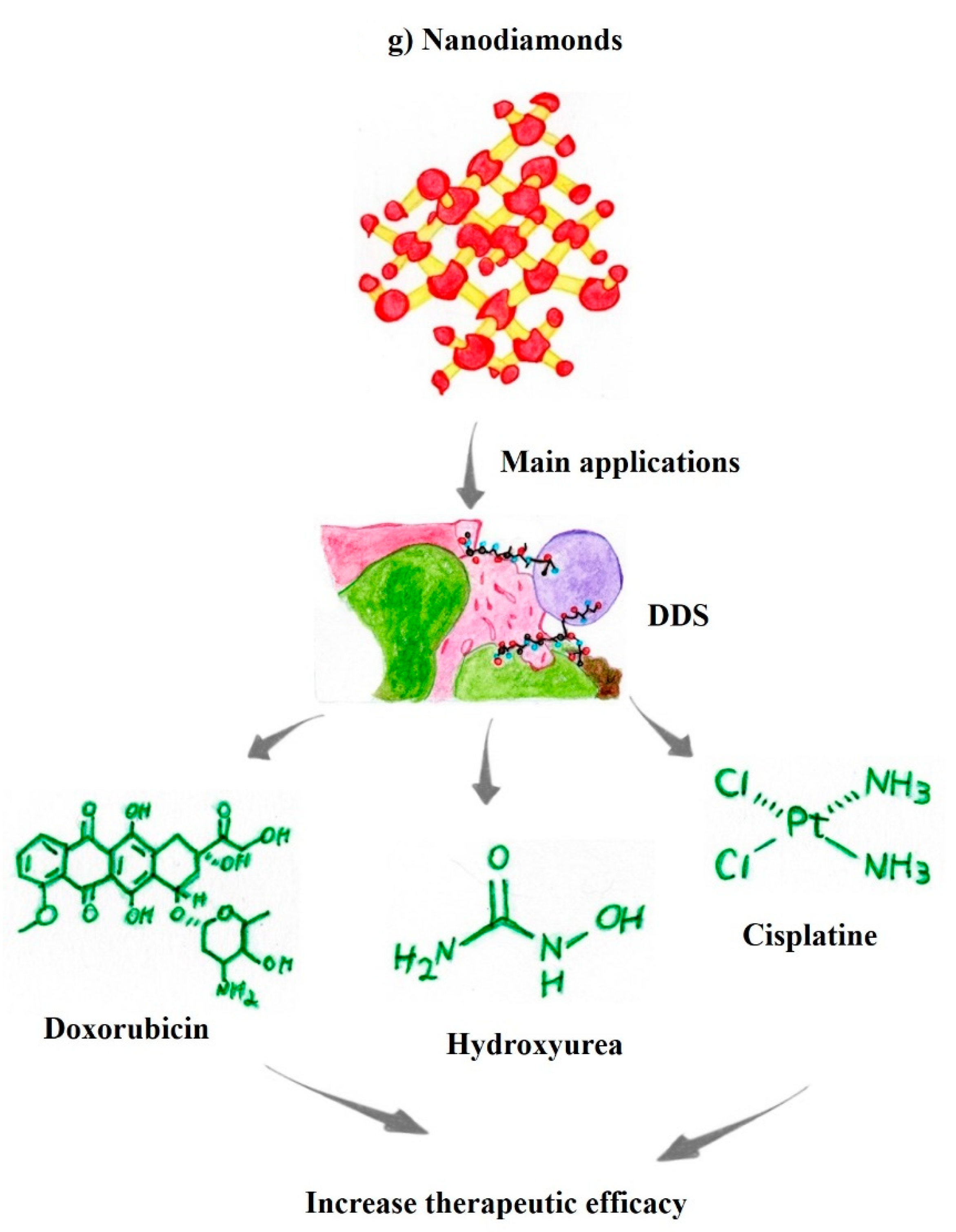 Pharmaceutics 14 02004 g003d Pharmaceutics 14 02004 g003d