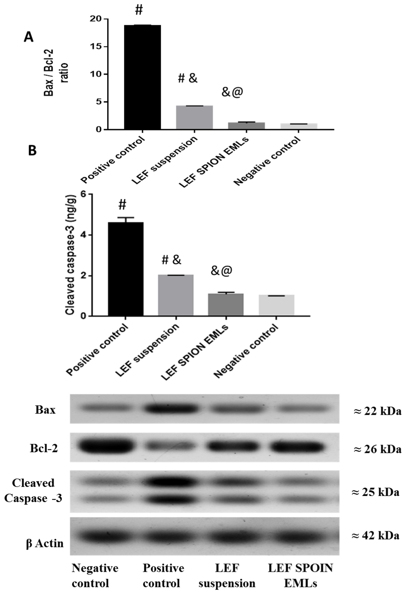 Pharmaceutics 14 02005 g009