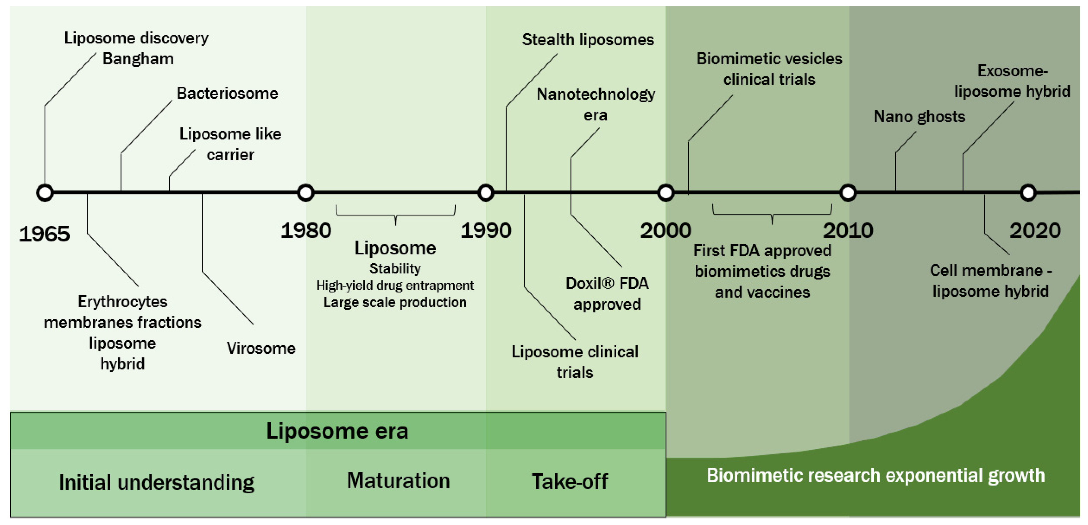 Pharmaceutics 14 02008 g001