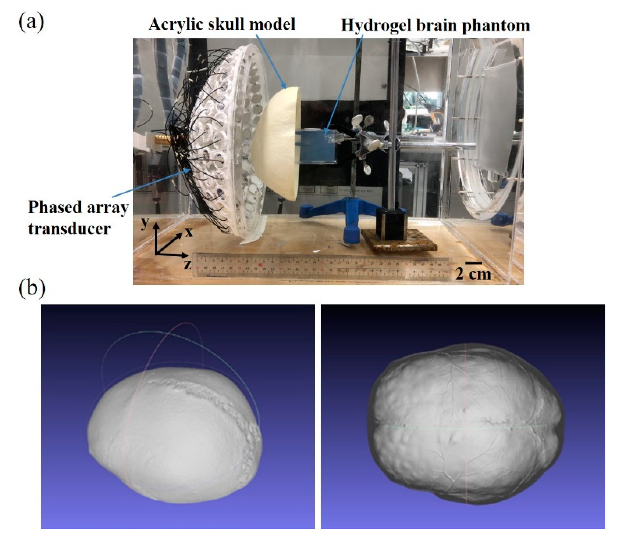 Pharmaceutics 14 02012 g004 Pharmaceutics 14 02012 g004
