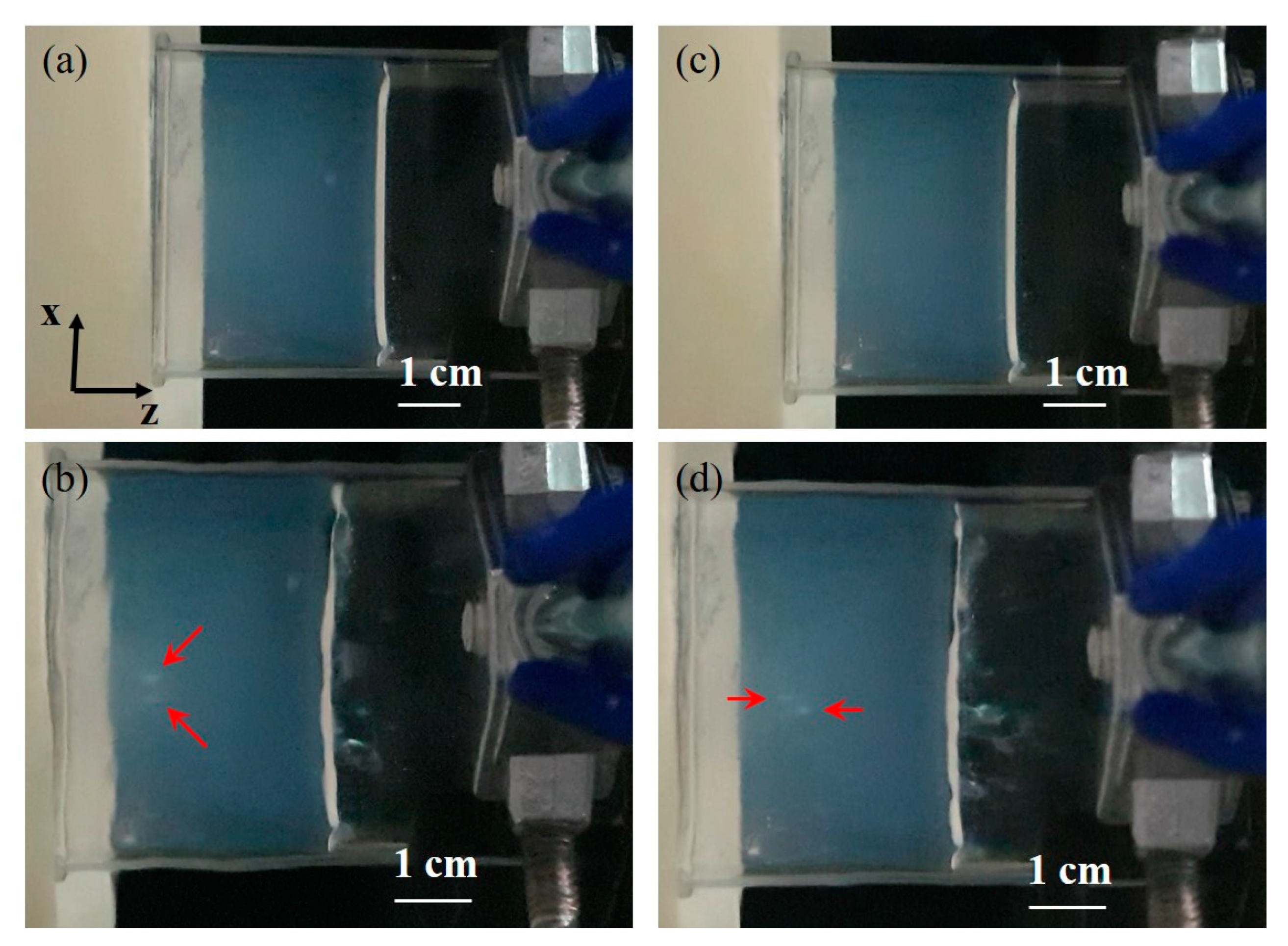 Pharmaceutics 14 02012 g009 Pharmaceutics 14 02012 g009