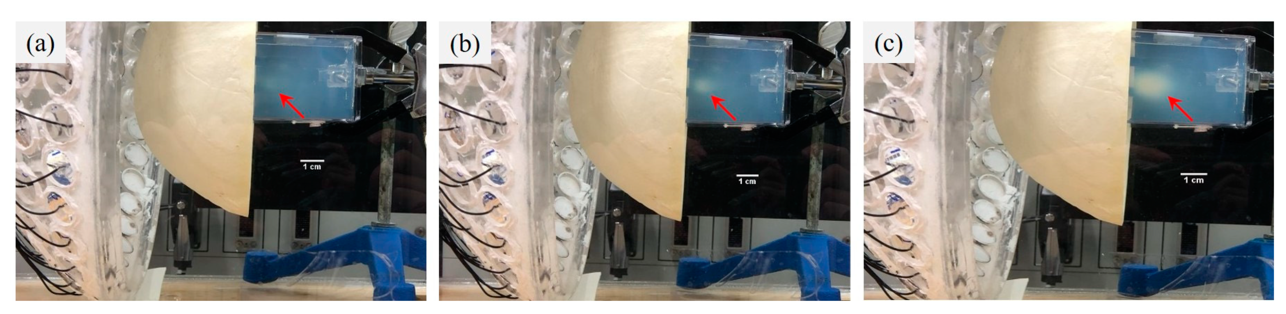 Pharmaceutics 14 02012 g010 Pharmaceutics 14 02012 g010