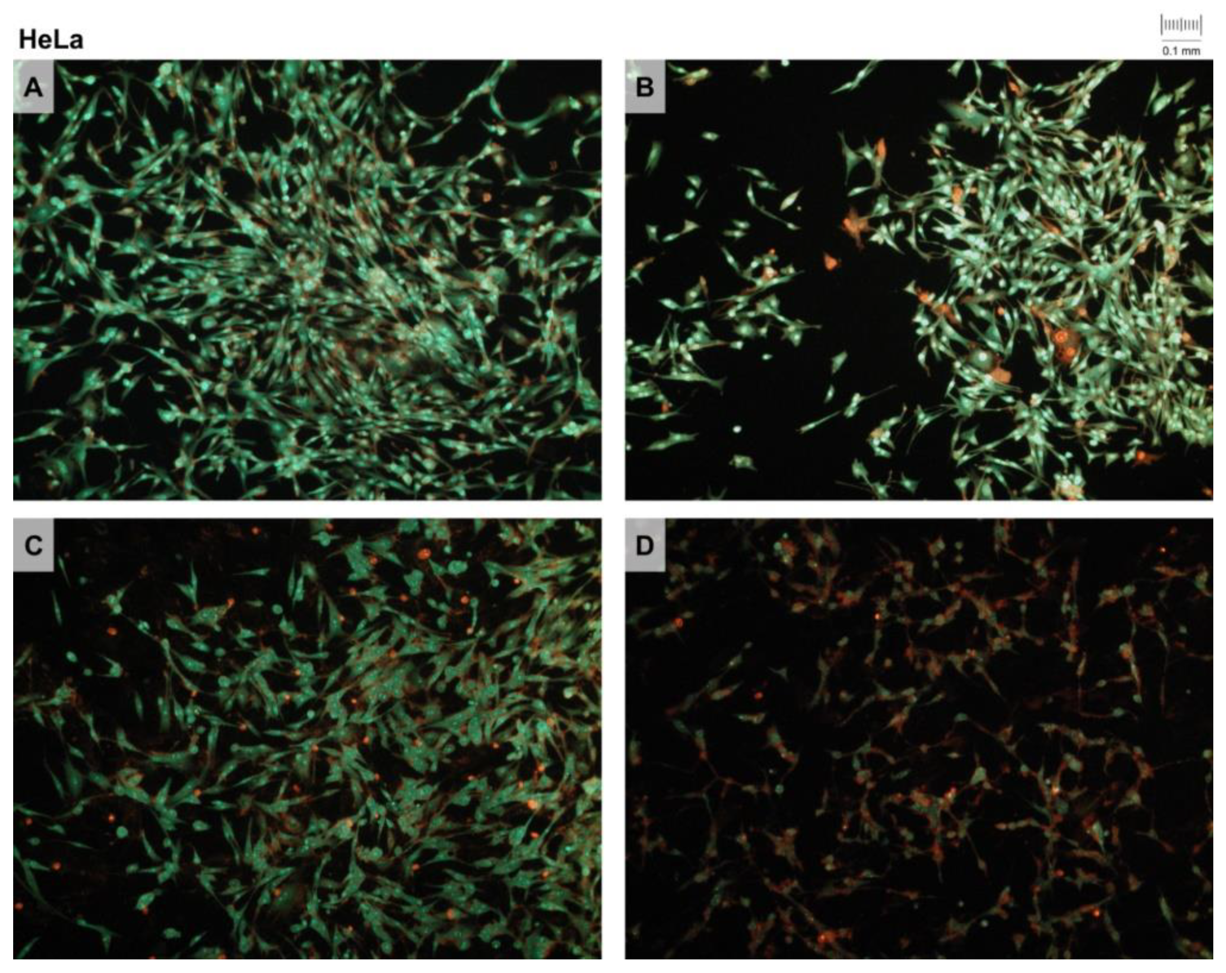 Pharmaceutics 14 02017 g004