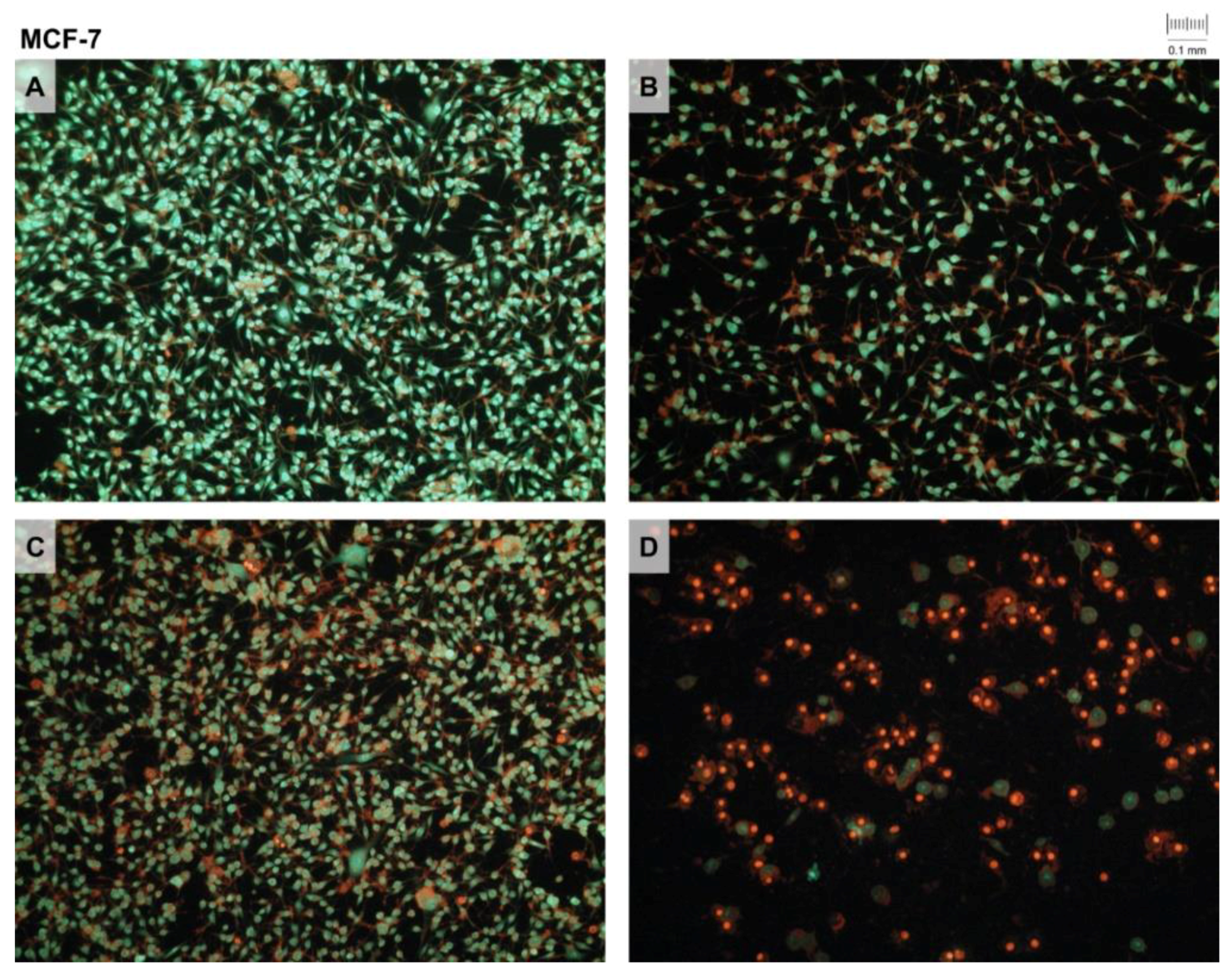 Pharmaceutics 14 02017 g005