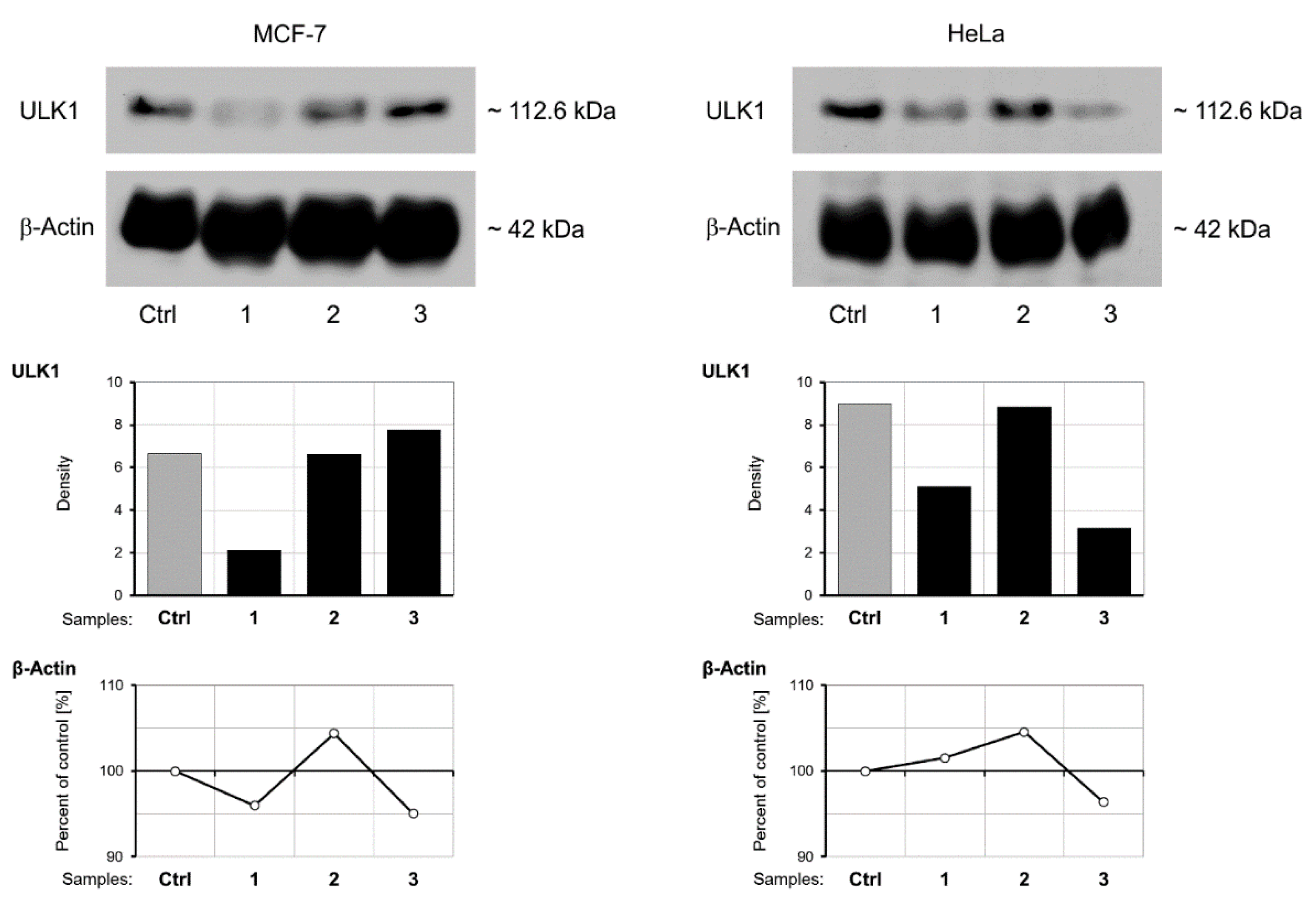 Pharmaceutics 14 02017 g008