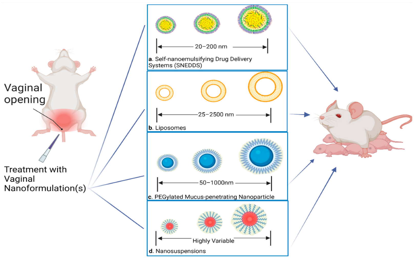 Pharmaceutics 14 02019 g002
