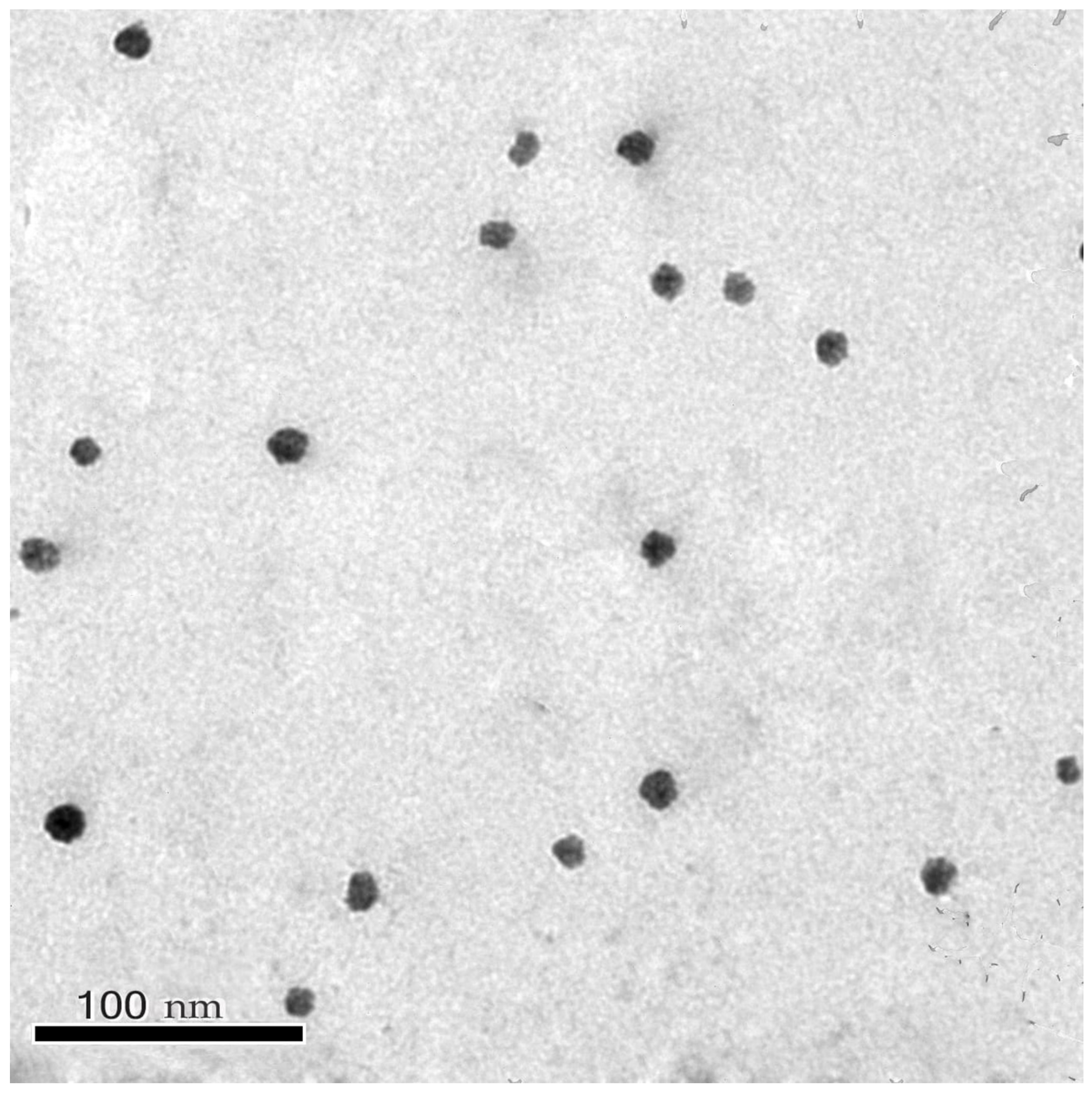 Pharmaceutics 14 02023 g003