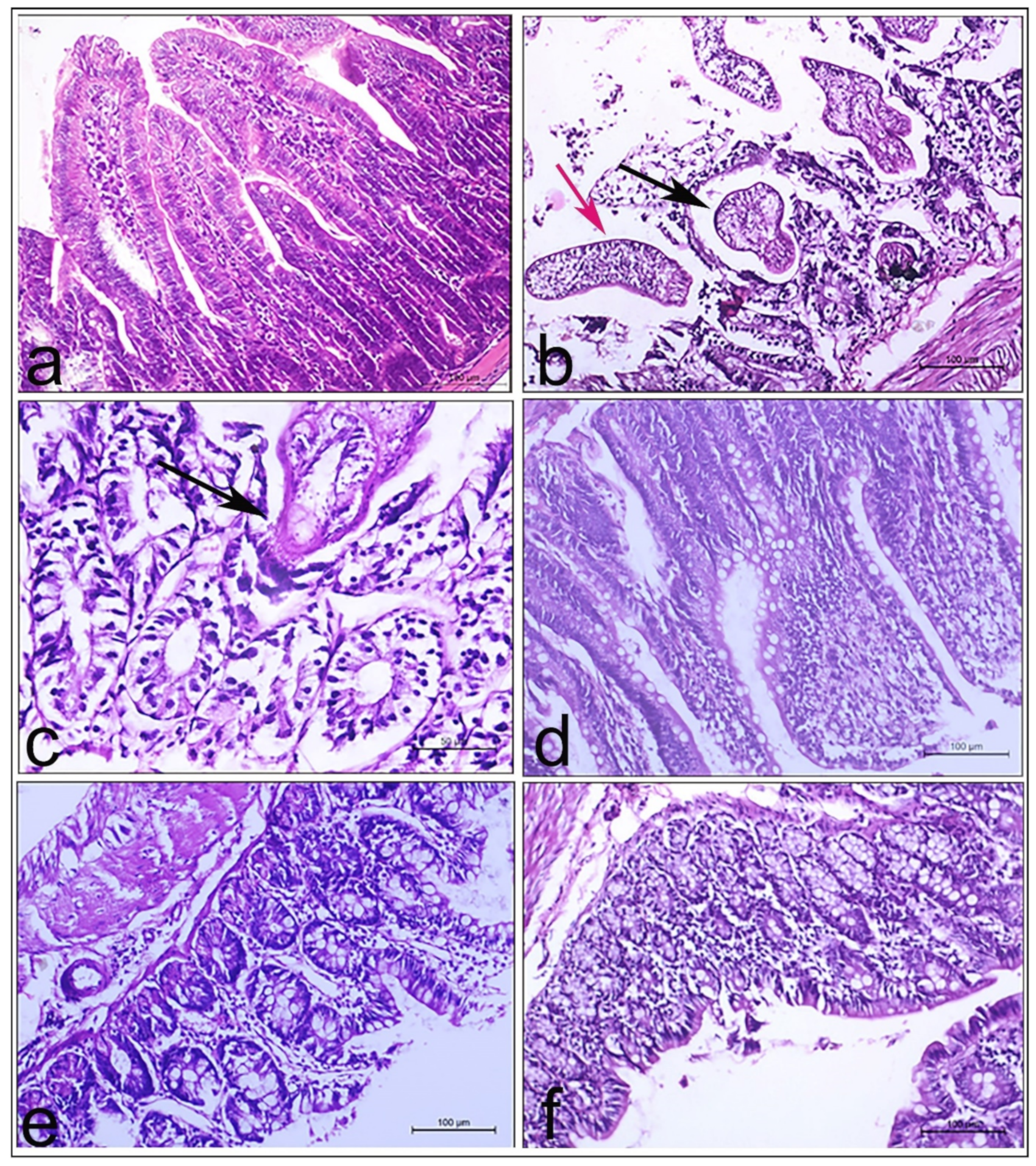 Pharmaceutics 14 02023 g005