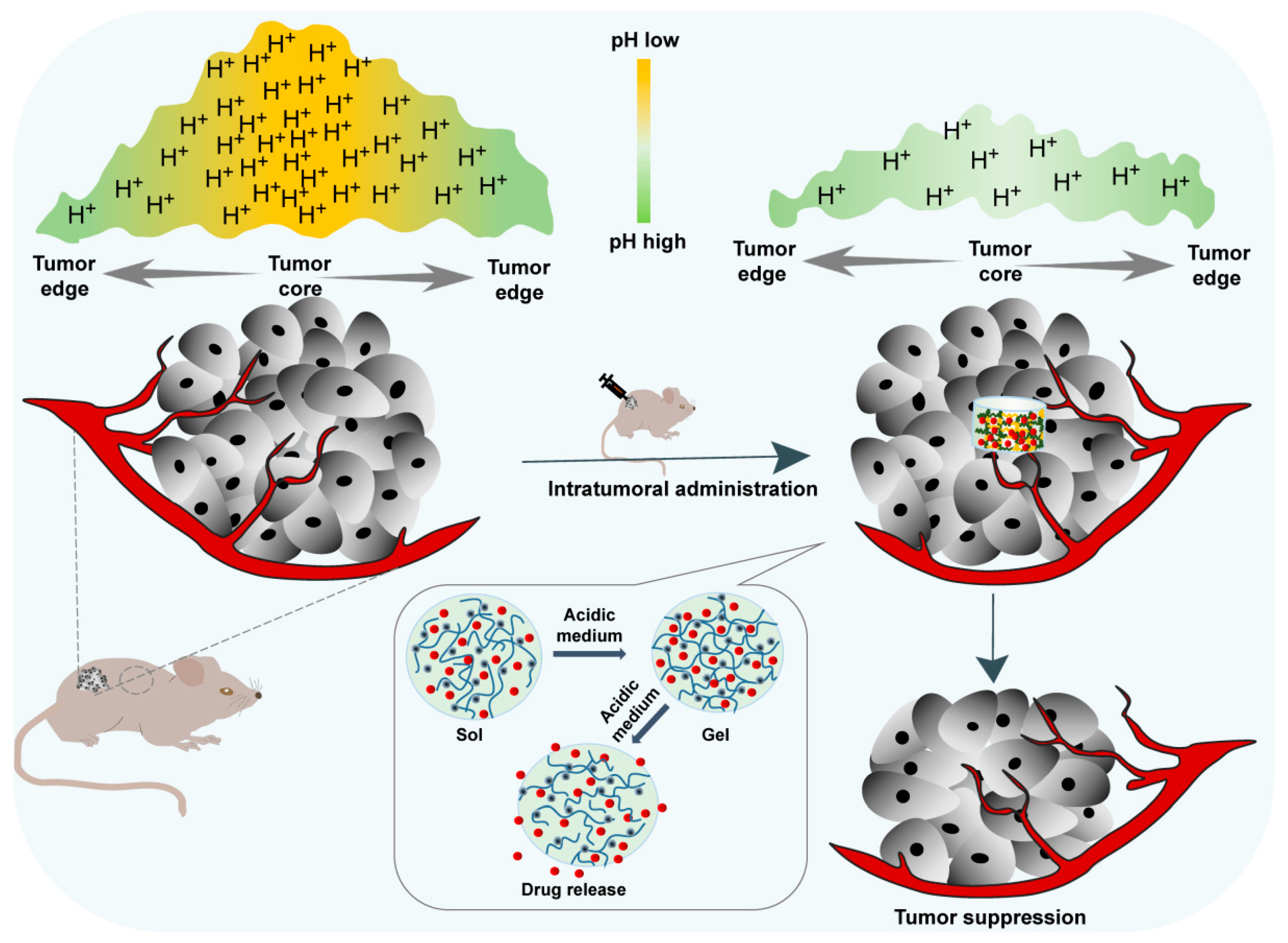 Pharmaceutics 14 02028 g005 Pharmaceutics 14 02028 g005