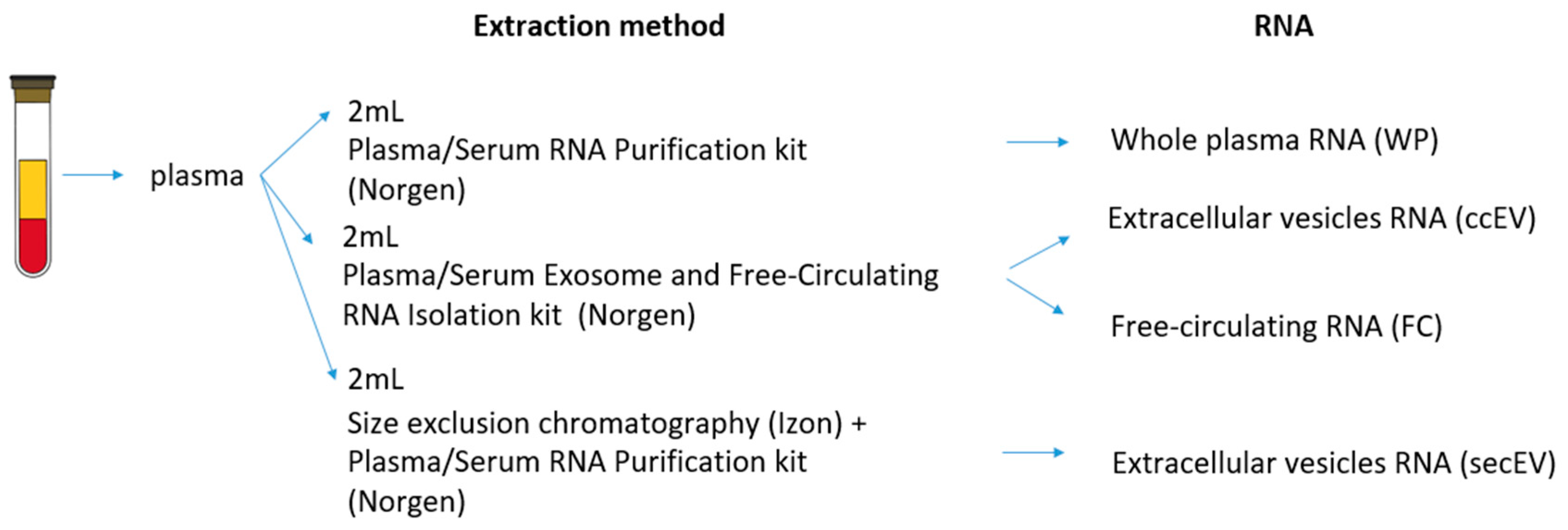 Pharmaceutics 14 02029 g001