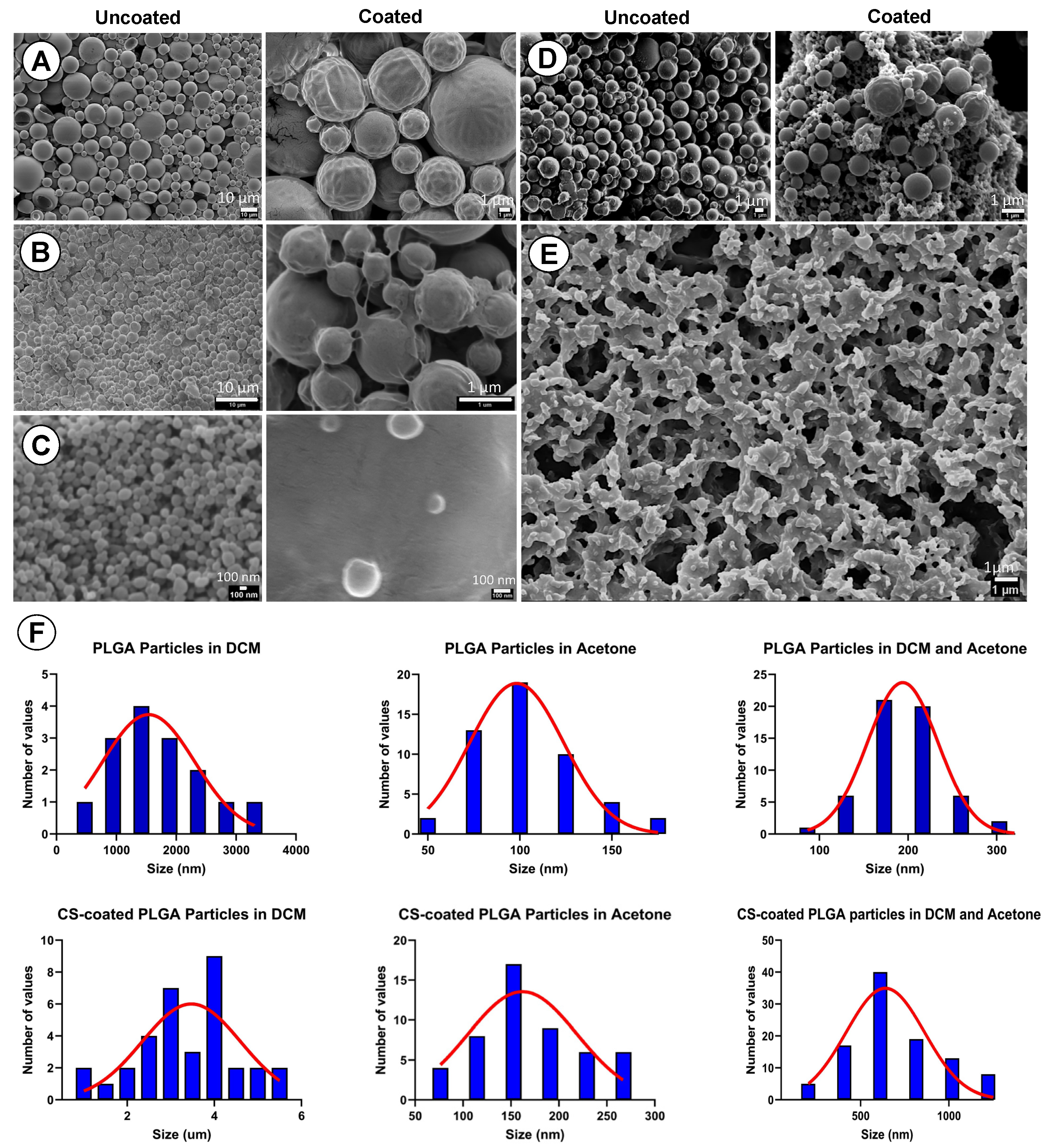 Pharmaceutics 14 02030 g004