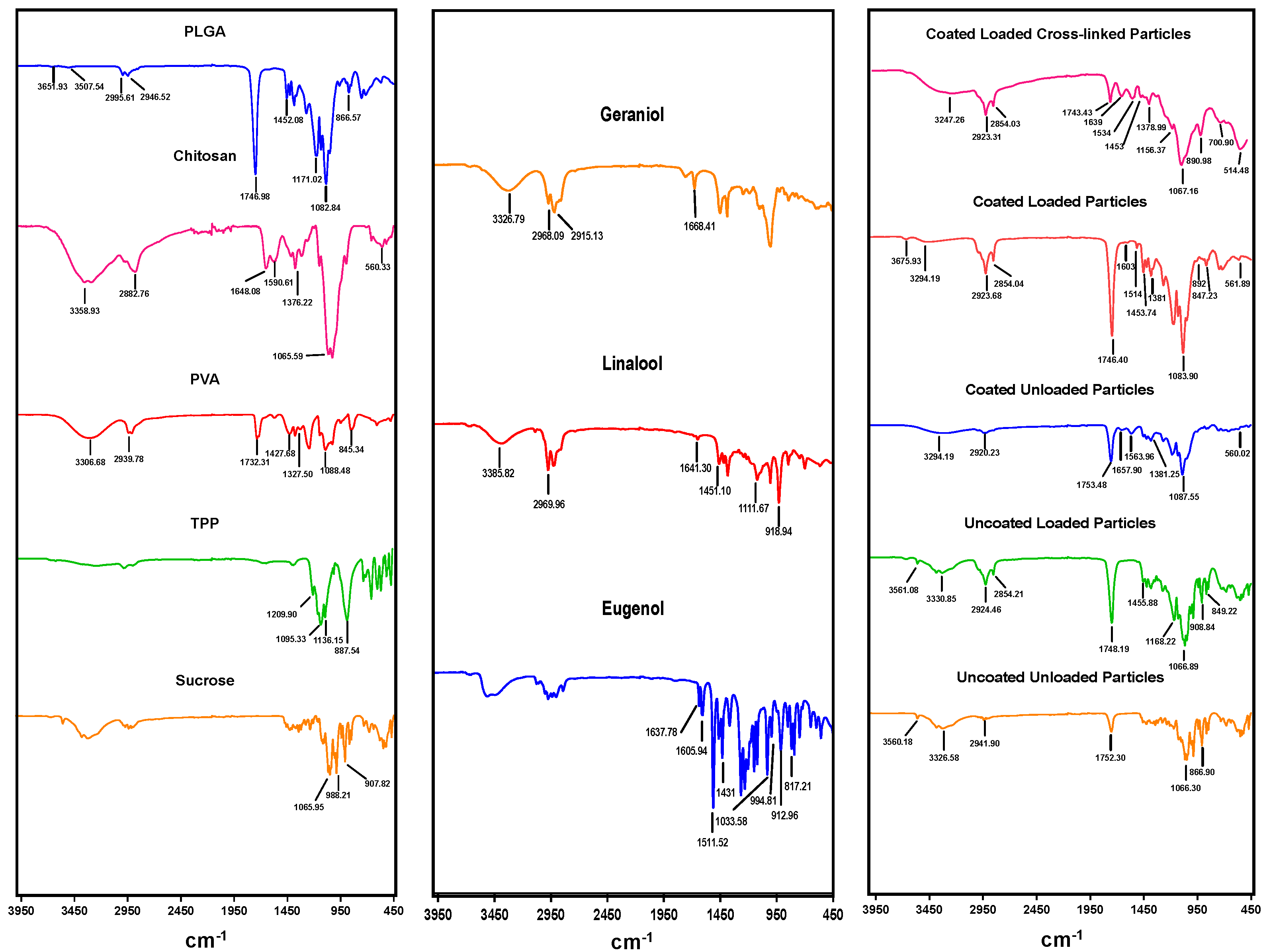 Pharmaceutics 14 02030 g005