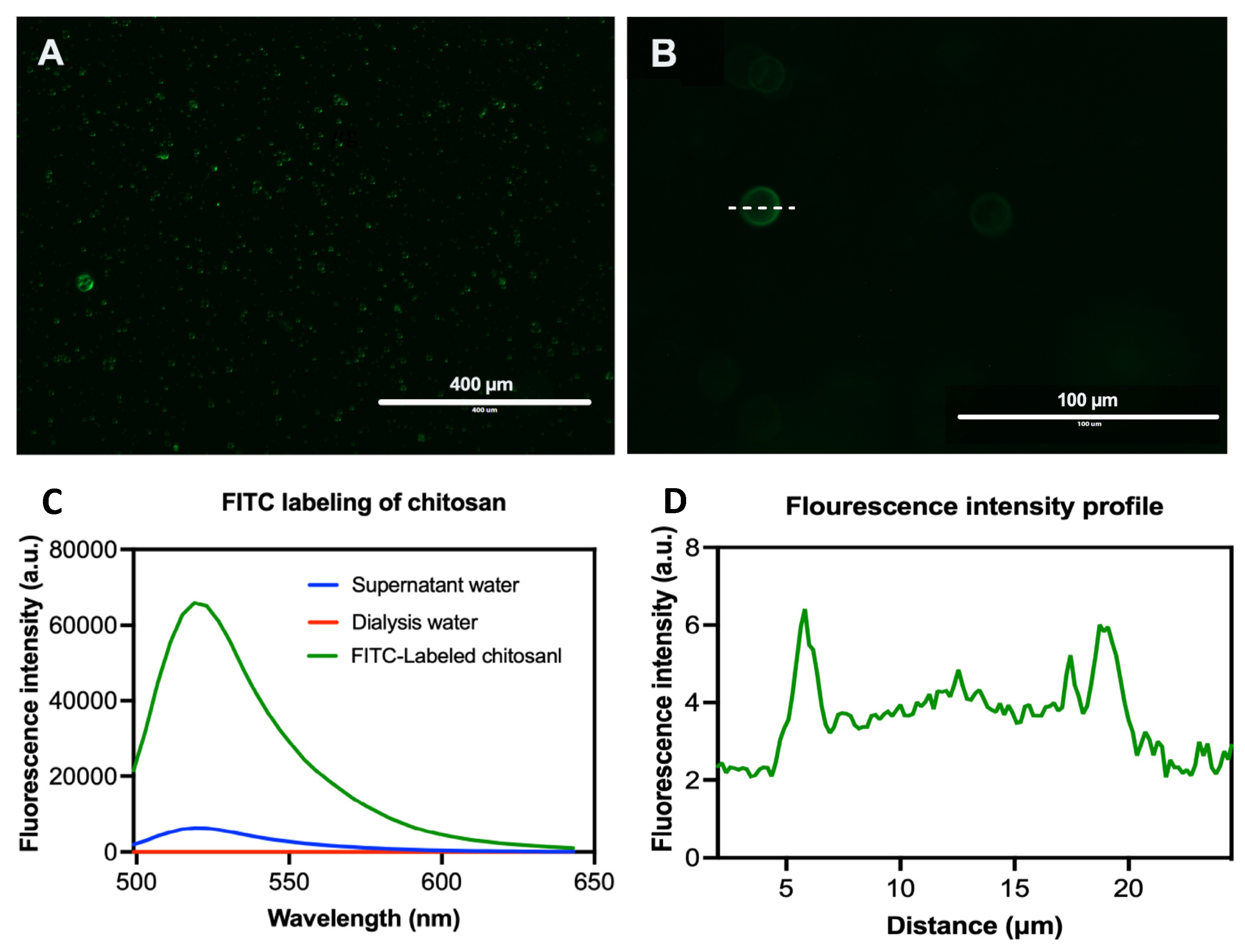 Pharmaceutics 14 02030 g008